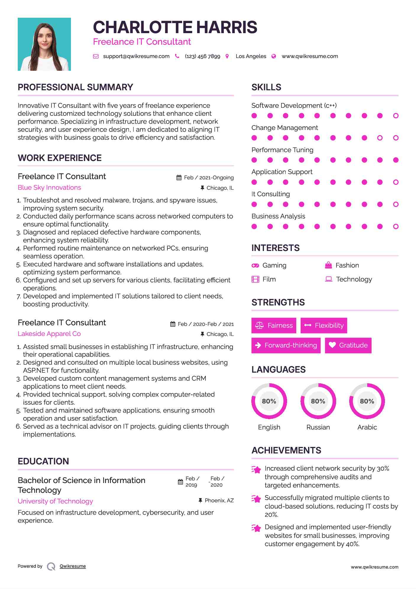 Freelance IT Consultant Resume Example