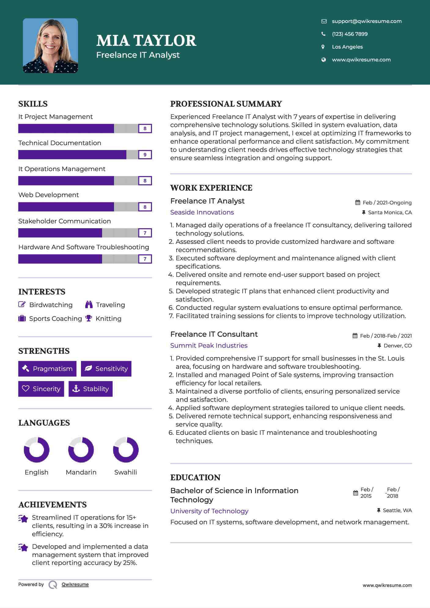 Freelance IT Analyst Resume Template