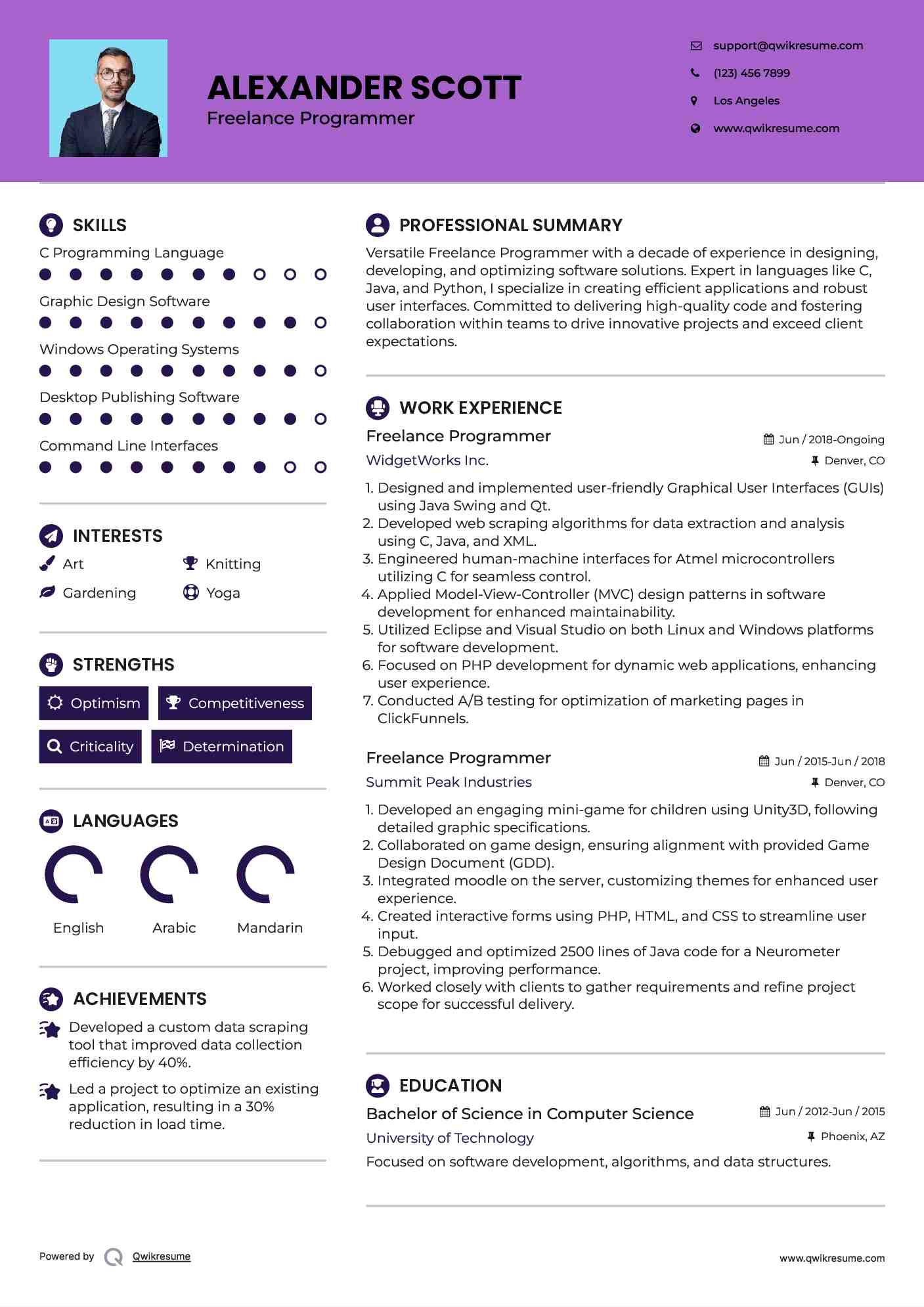 Freelance Programmer Resume Model