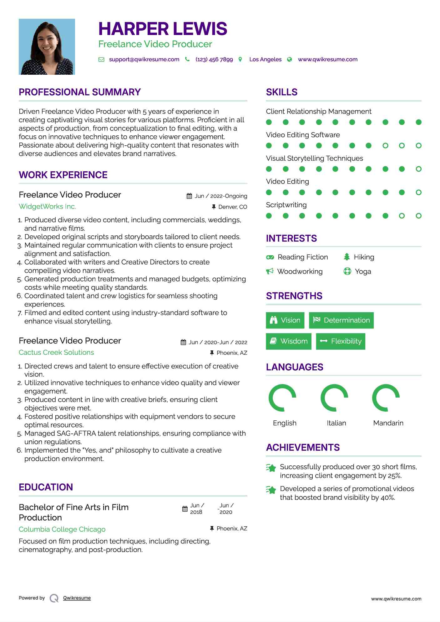 Freelance Video Producer Resume Format