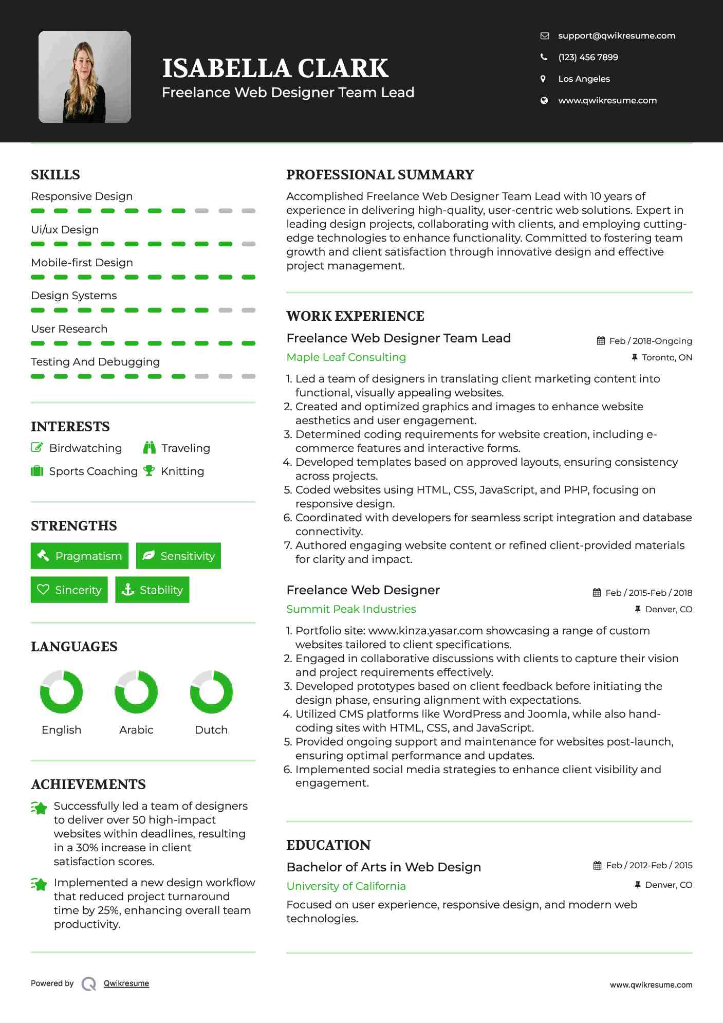 Freelance Web Designer Team Lead Resume Sample