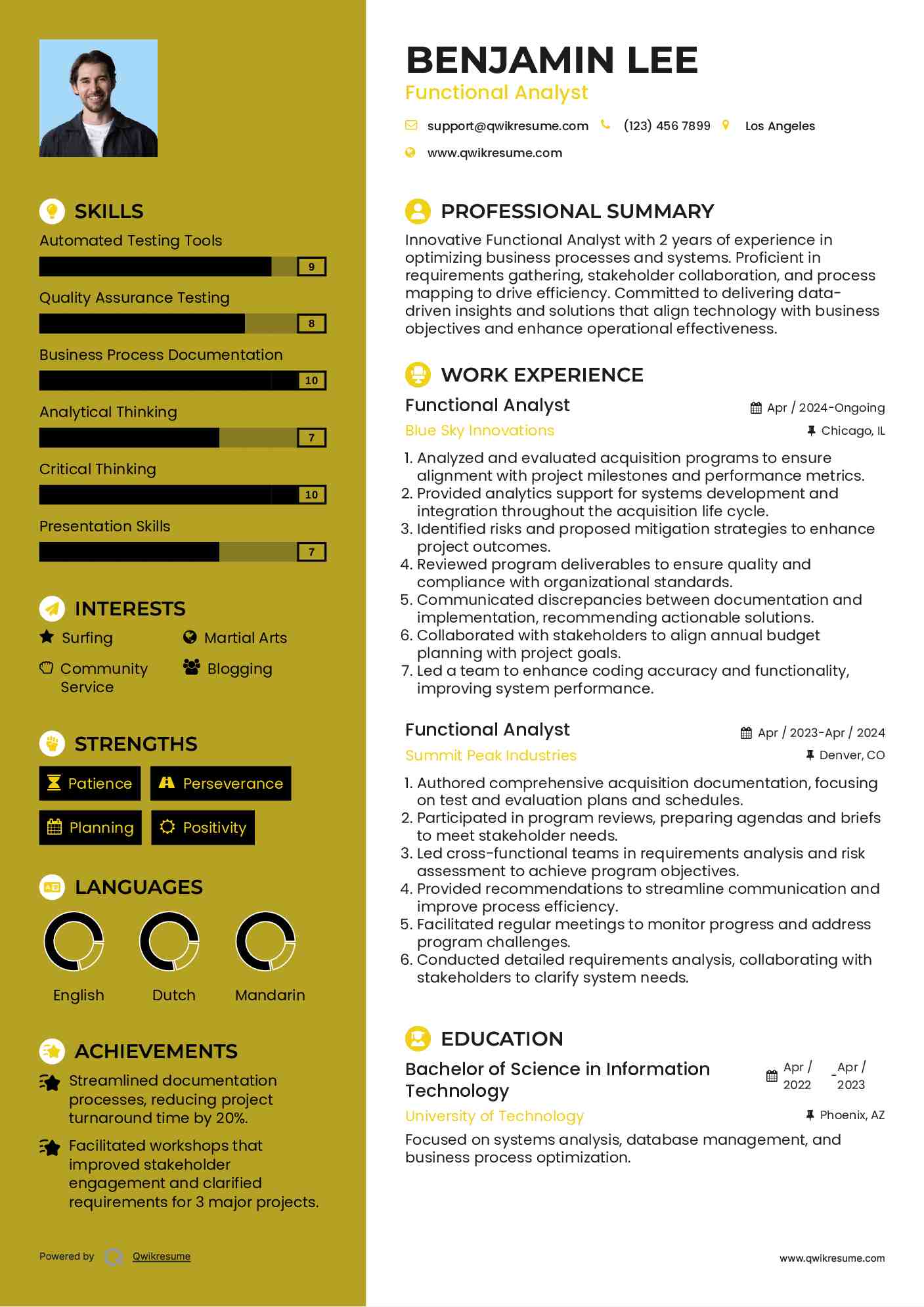 Functional Analyst Resume Template