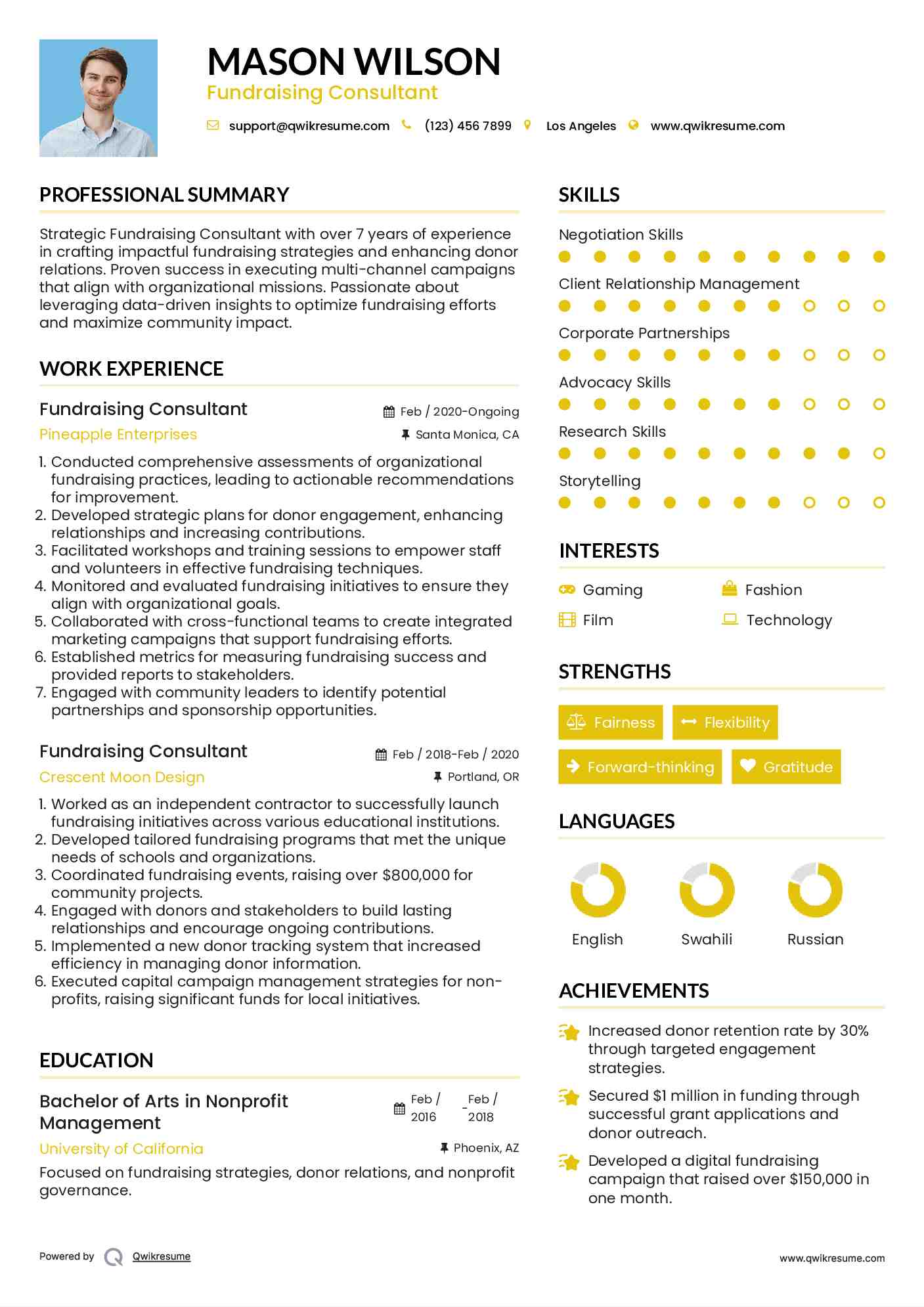 Fundraising Consultant Resume Example