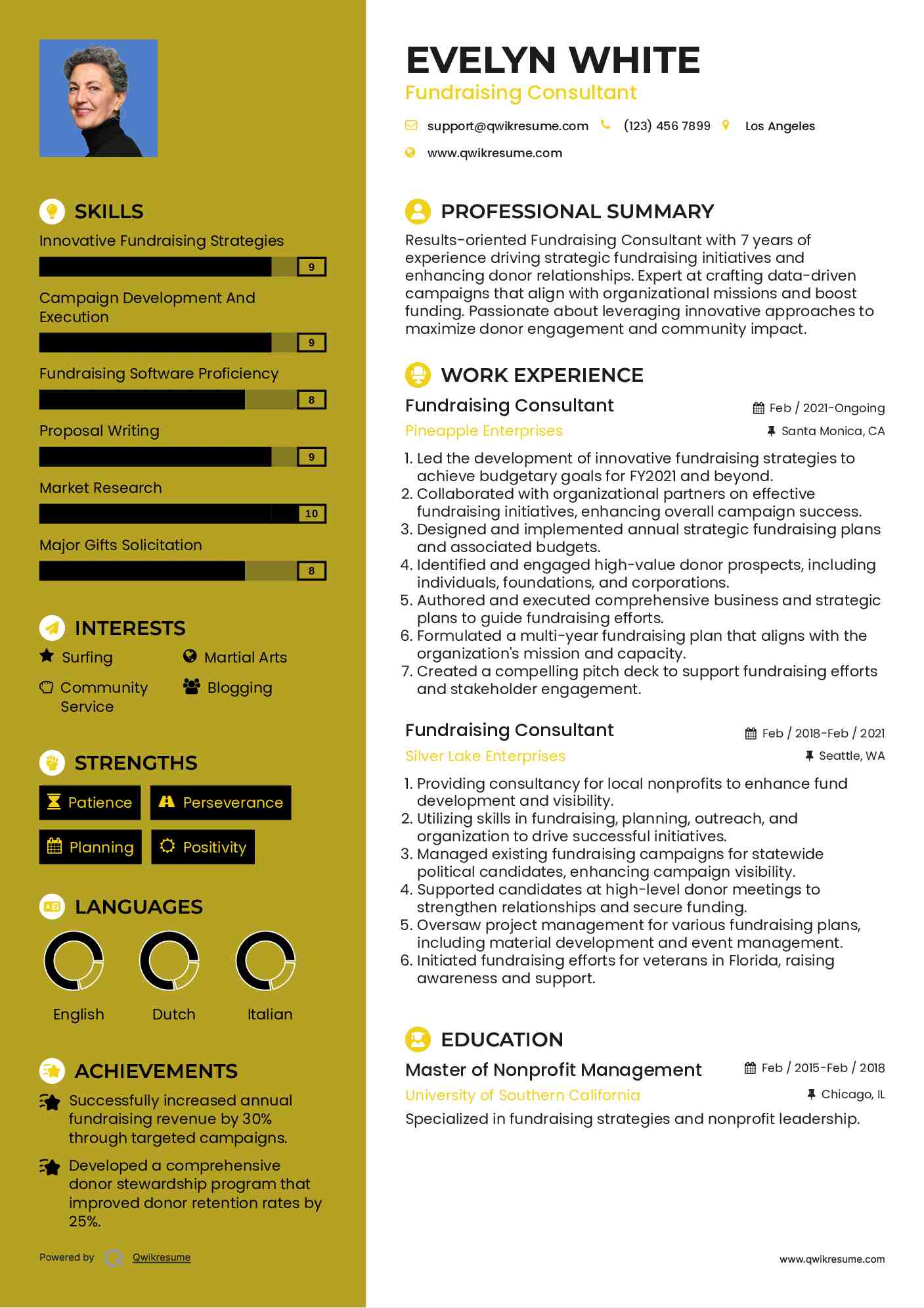Fundraising Consultant Resume Model