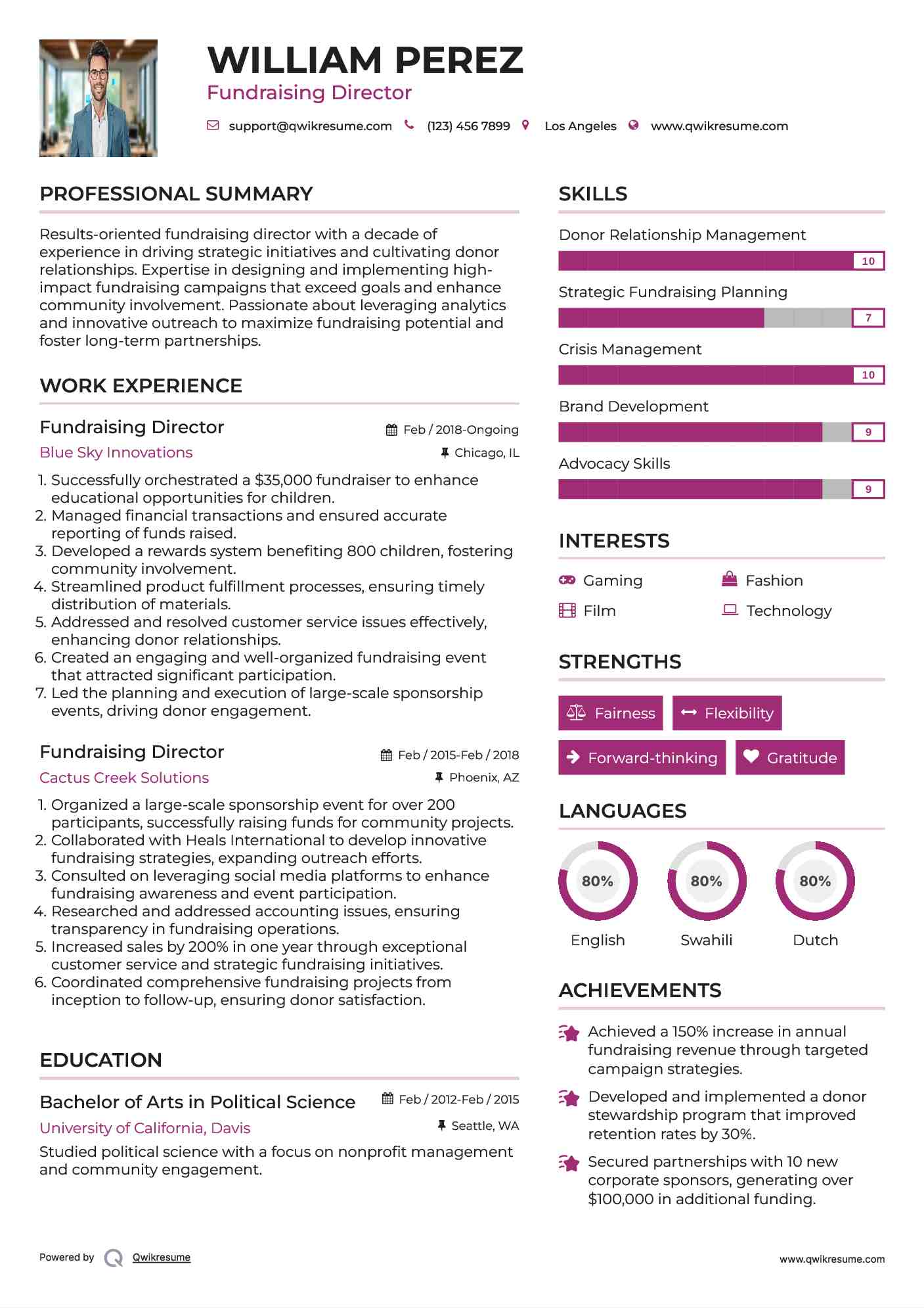 Fundraising Director Resume Example