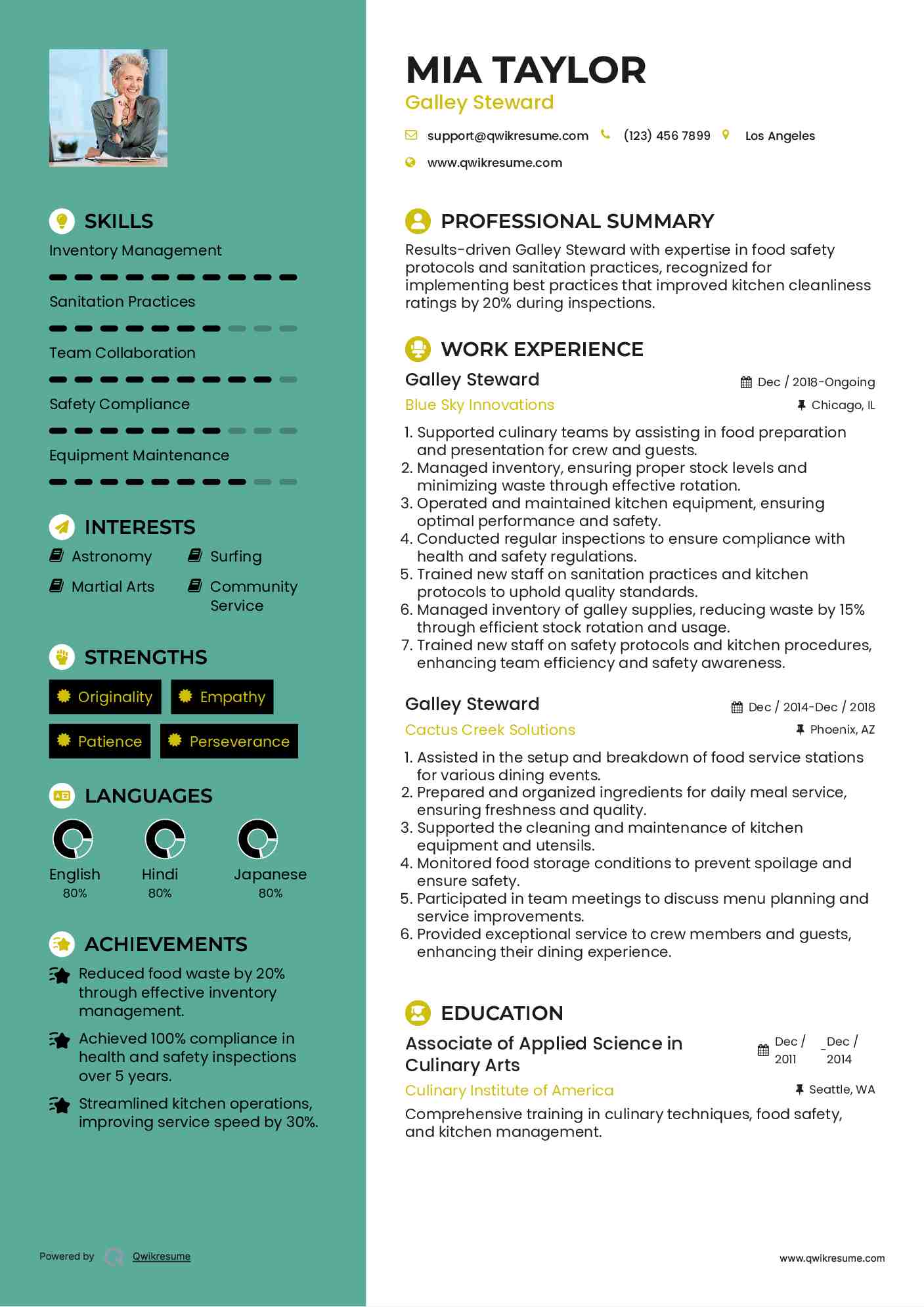 Galley Steward Resume Template