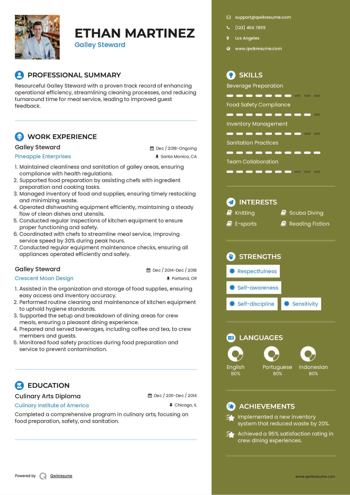 Galley Steward Resume Template