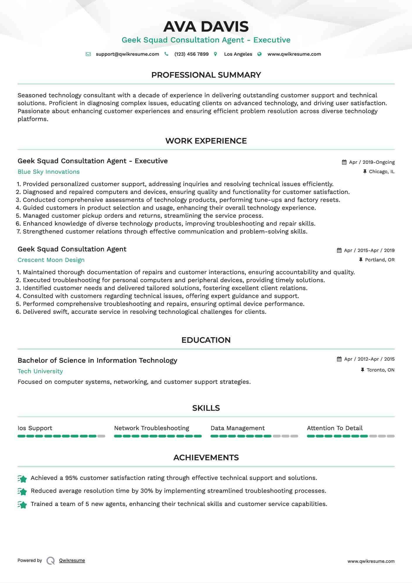 Geek Squad Consultation Agent - Executive Resume Sample