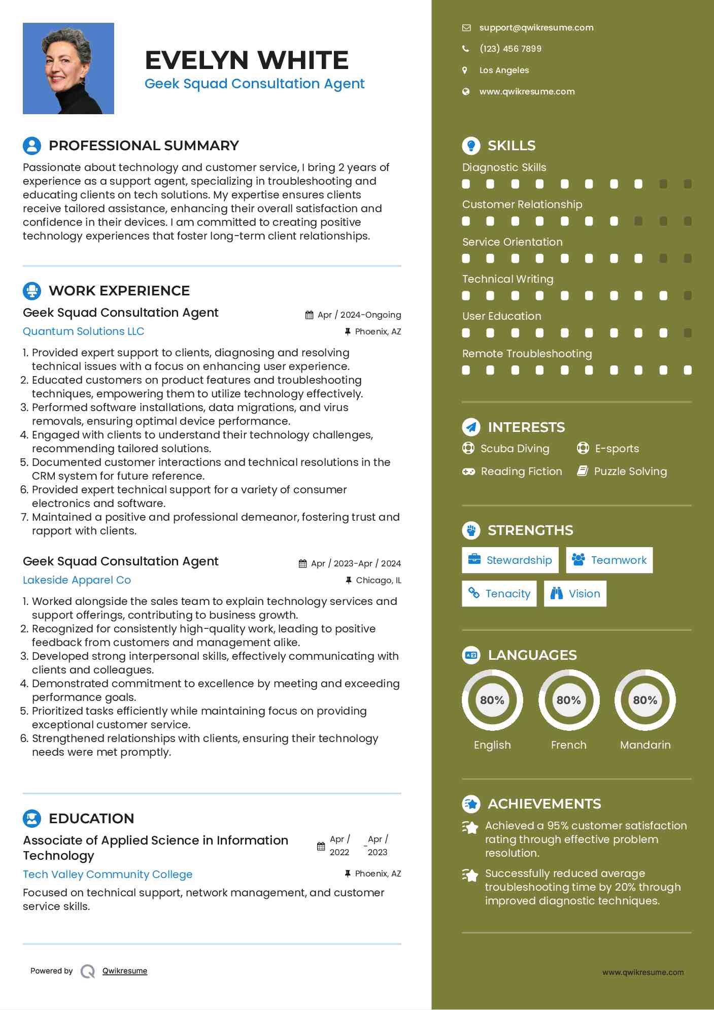 Geek Squad Consultation Agent Resume Example