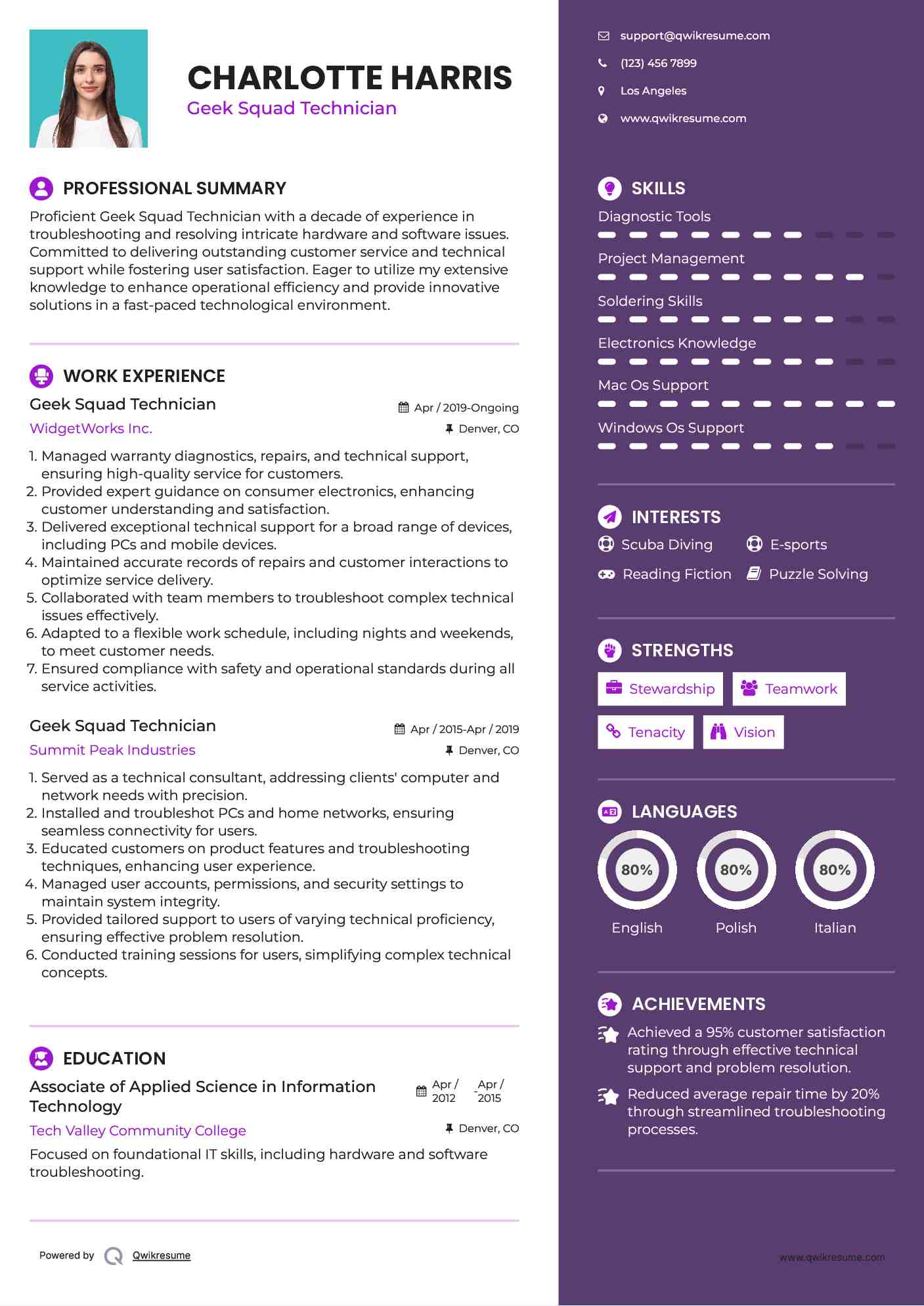 Geek Squad Technician Resume Model