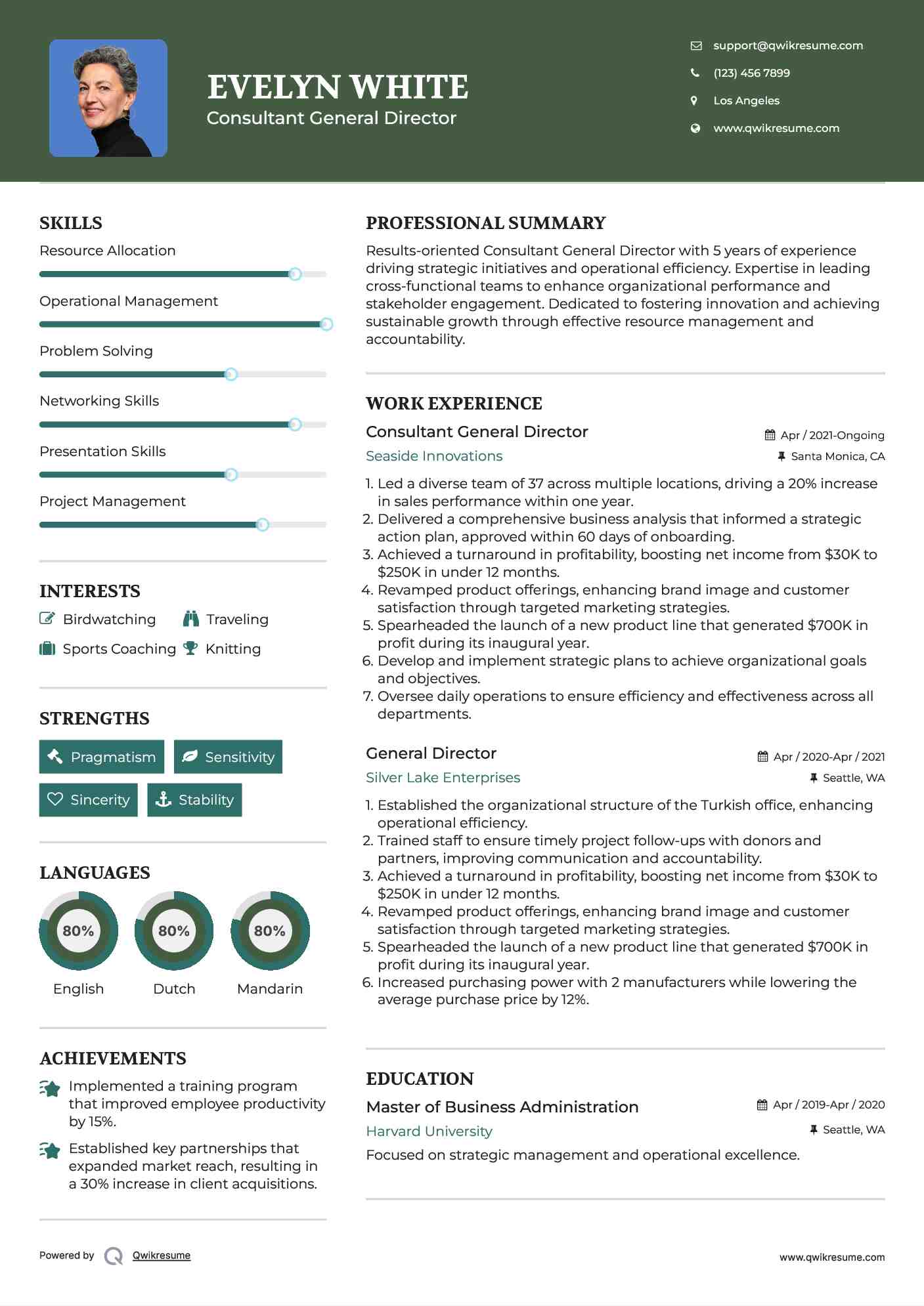 Consultant General Director Resume Sample