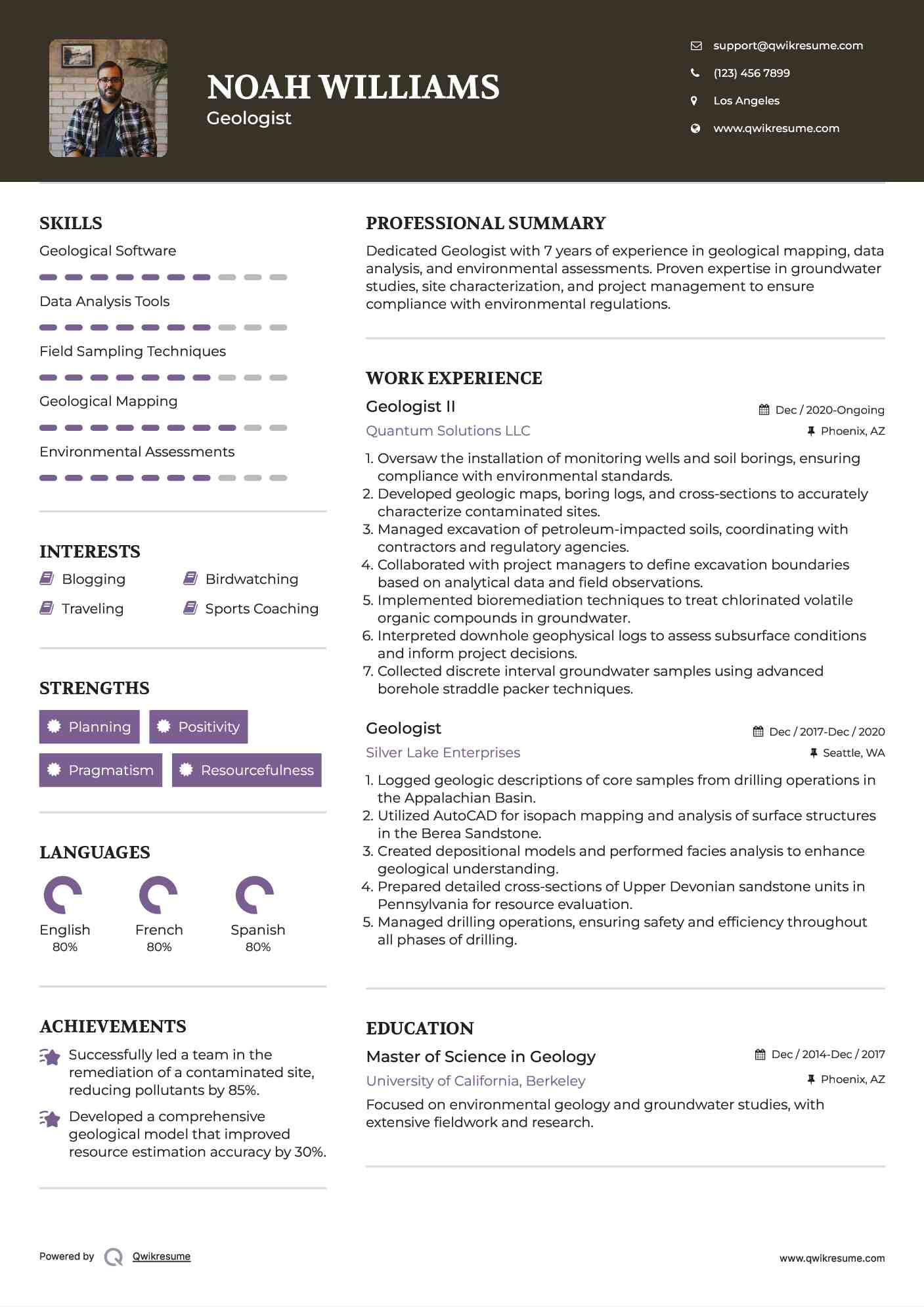 Geologist II Resume Sample
