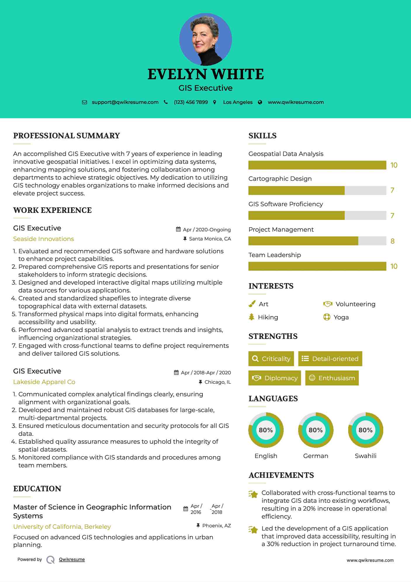 GIS Executive Resume Sample