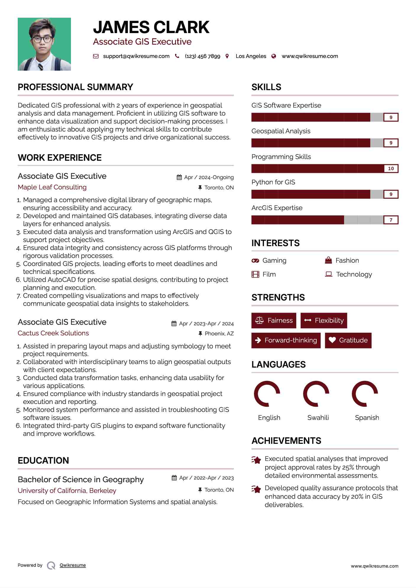 Associate GIS Executive Resume Model