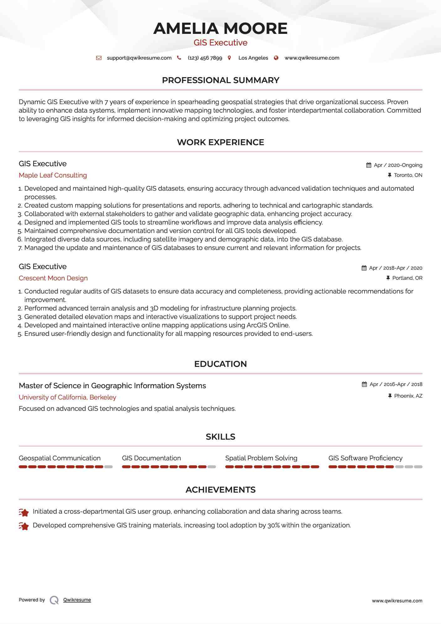 GIS Executive Resume Example
