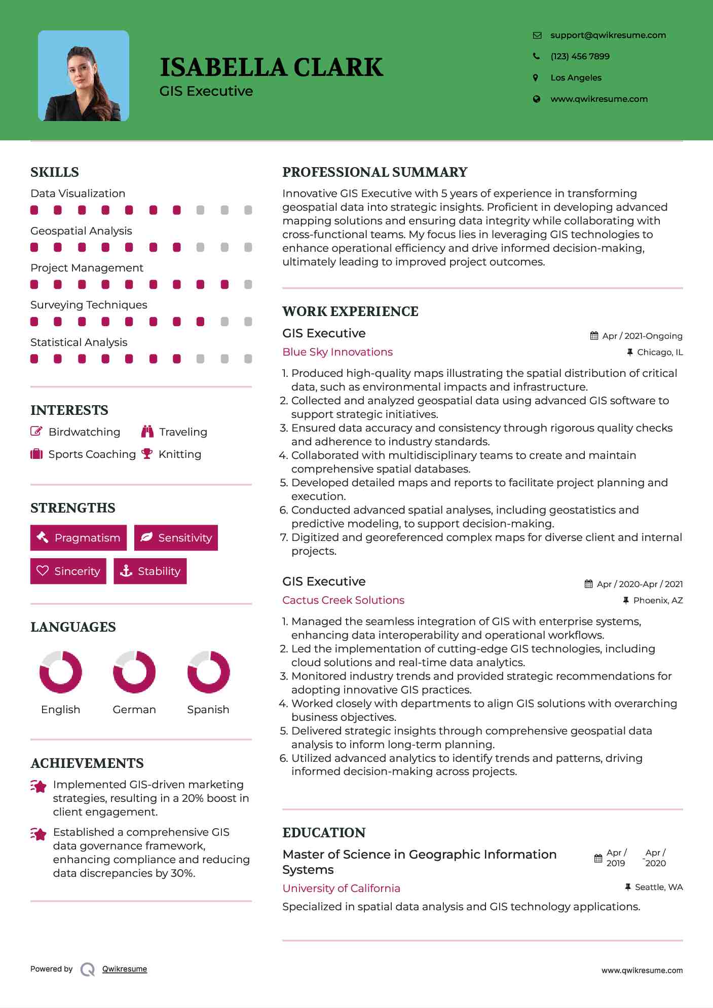 GIS Executive Resume Sample