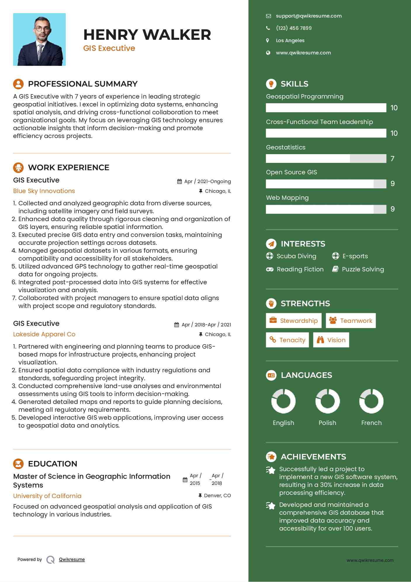 GIS Executive Resume Example