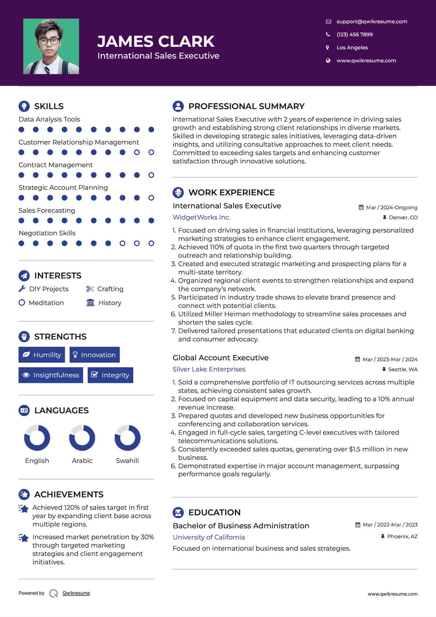 International Sales Executive Resume Example