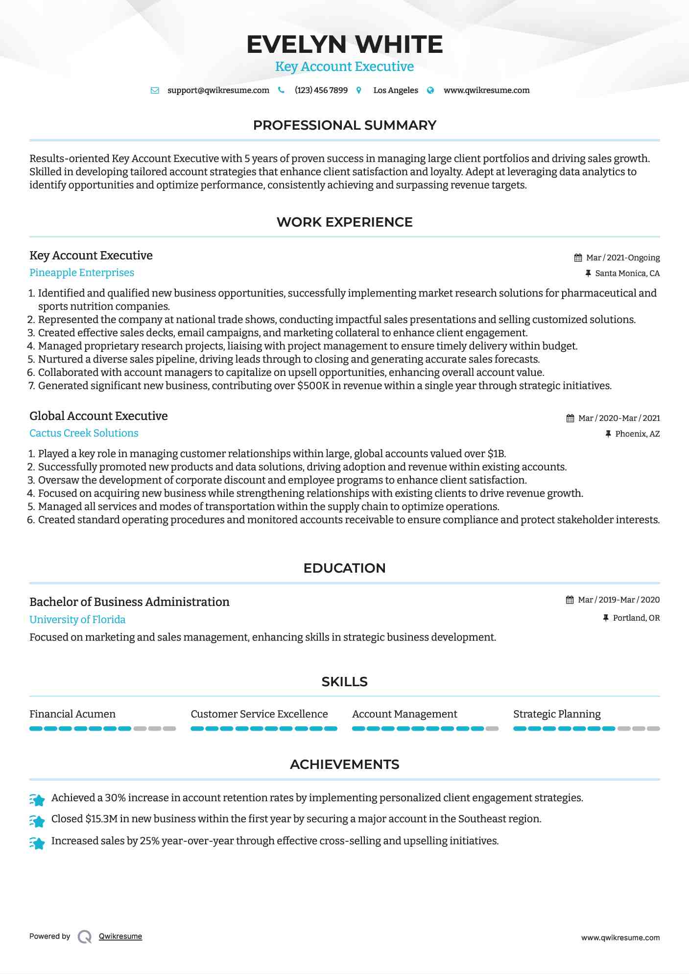 Key Account Executive Resume Format