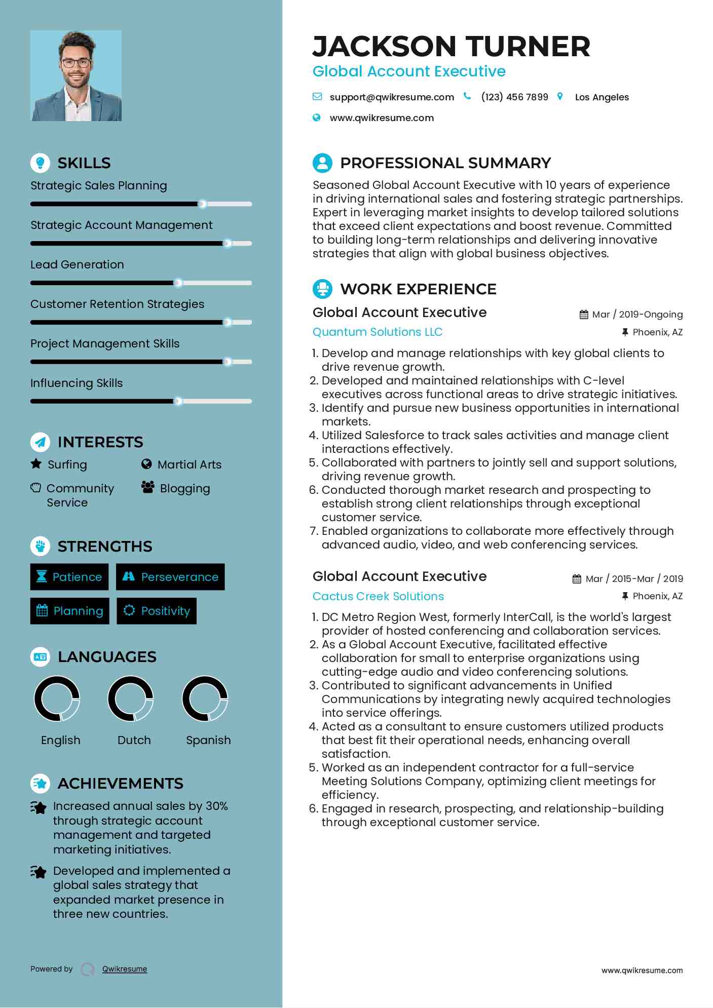 Global Account Executive Resume Example