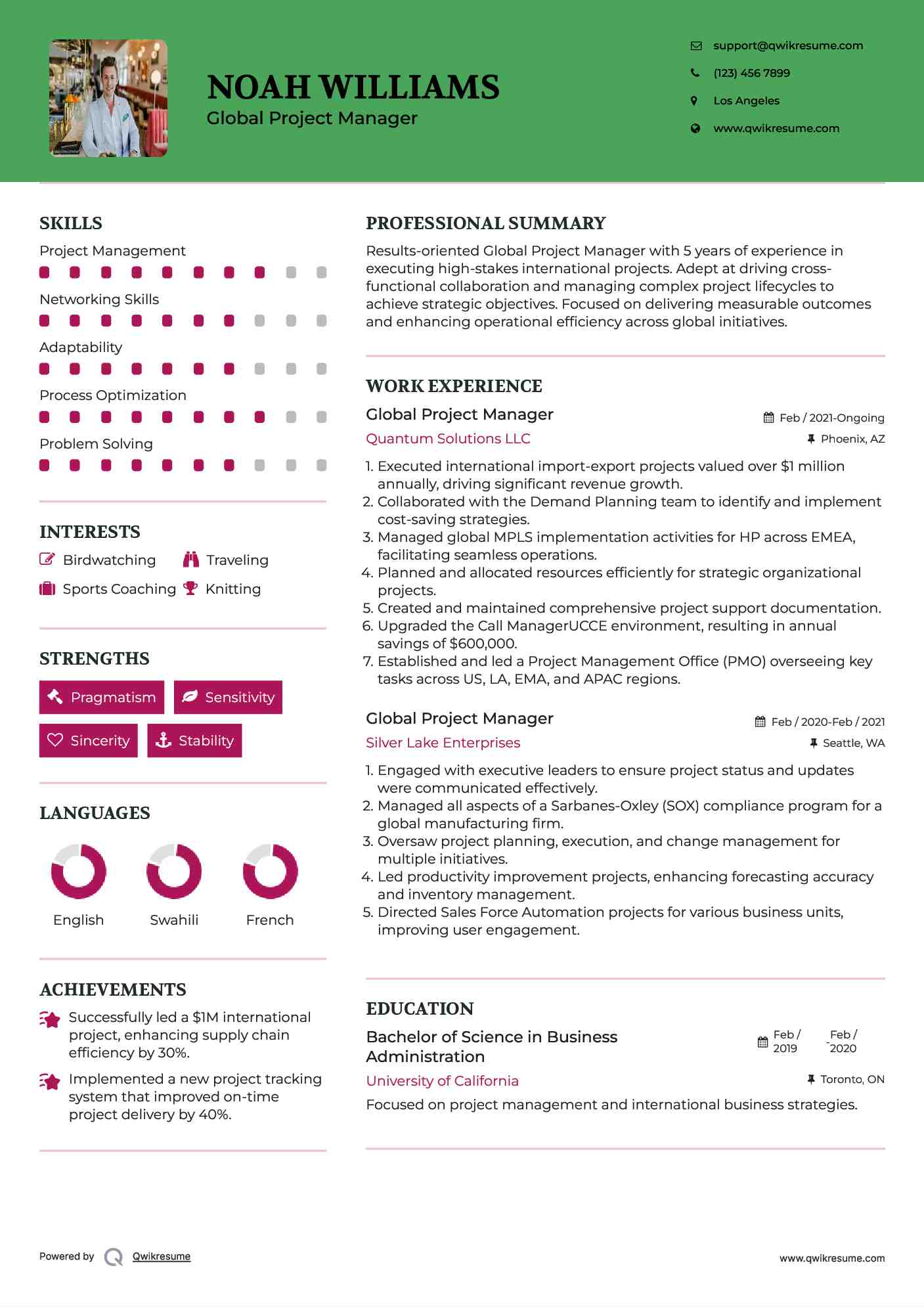 Global Project Manager Resume Example