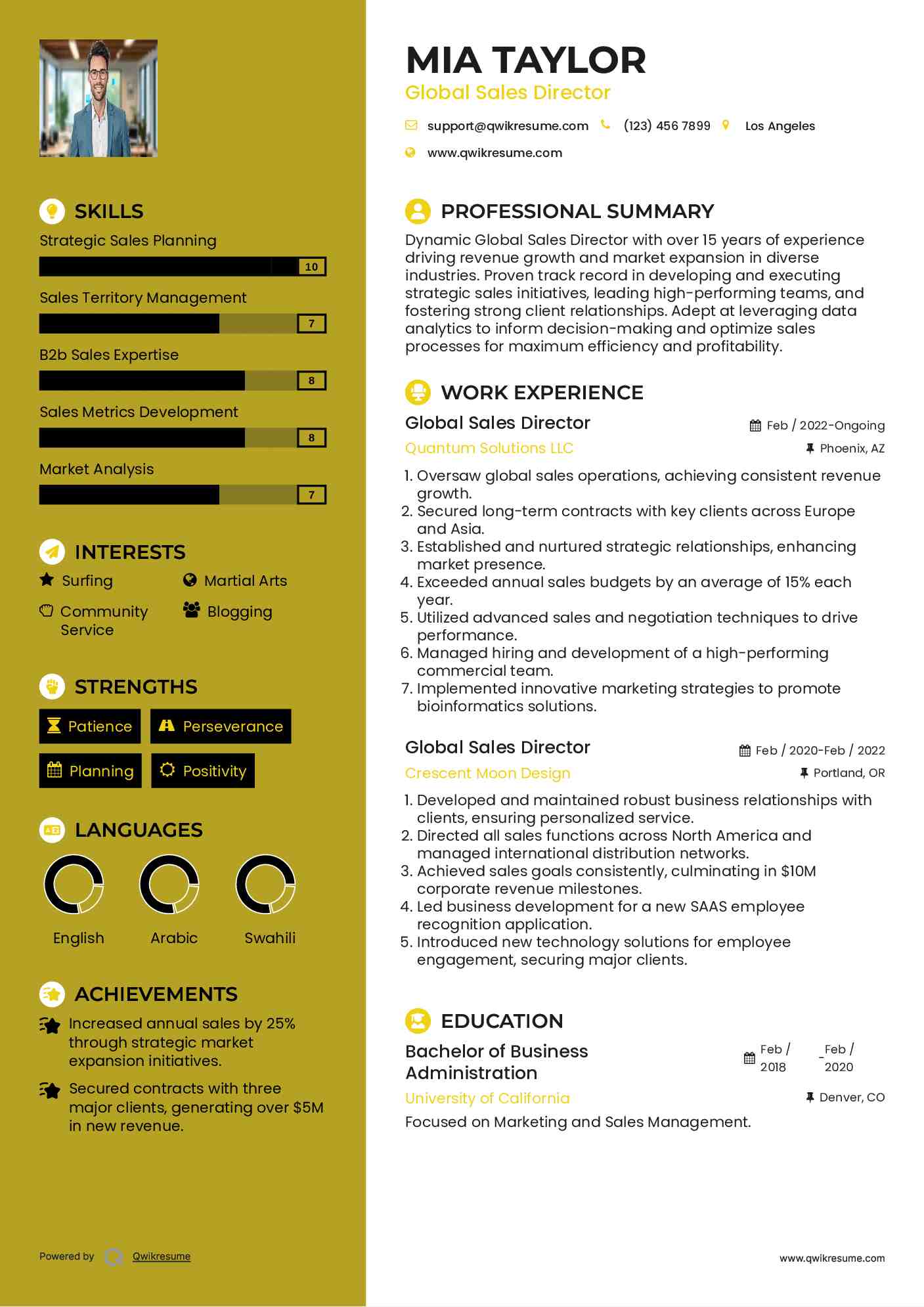 Global Sales Director Resume Sample