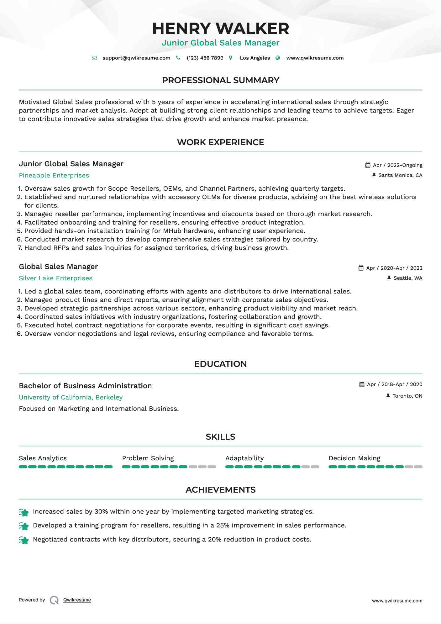 Junior Global Sales Manager Resume Example