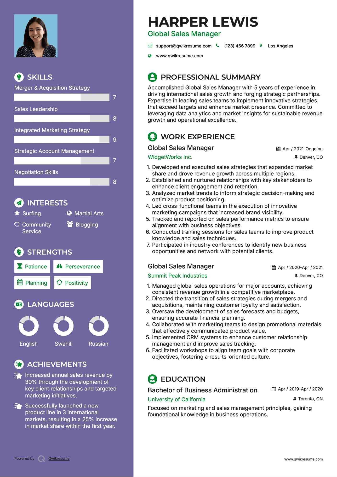 Global Sales Manager Resume Example