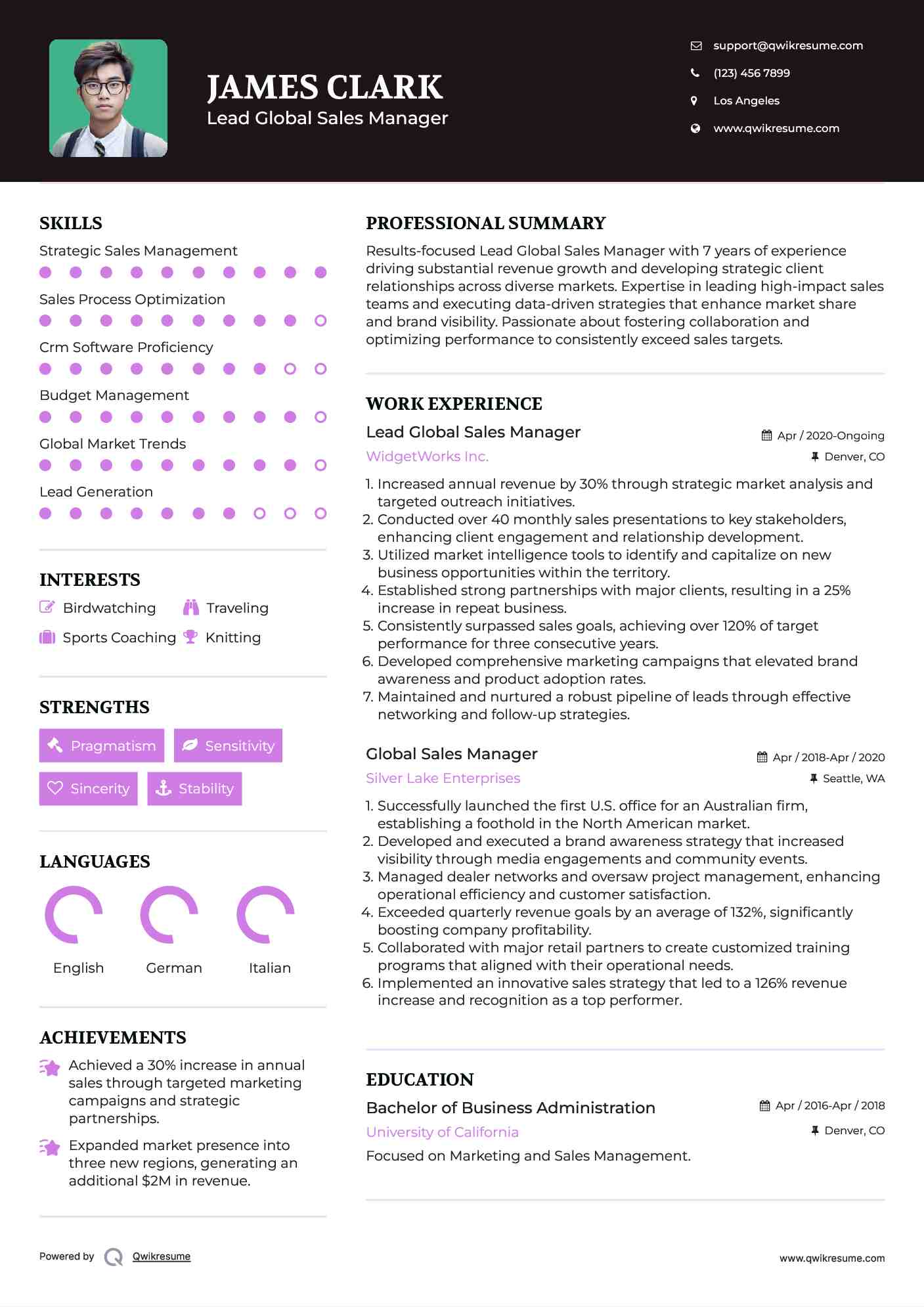 Lead Global Sales Manager Resume Example