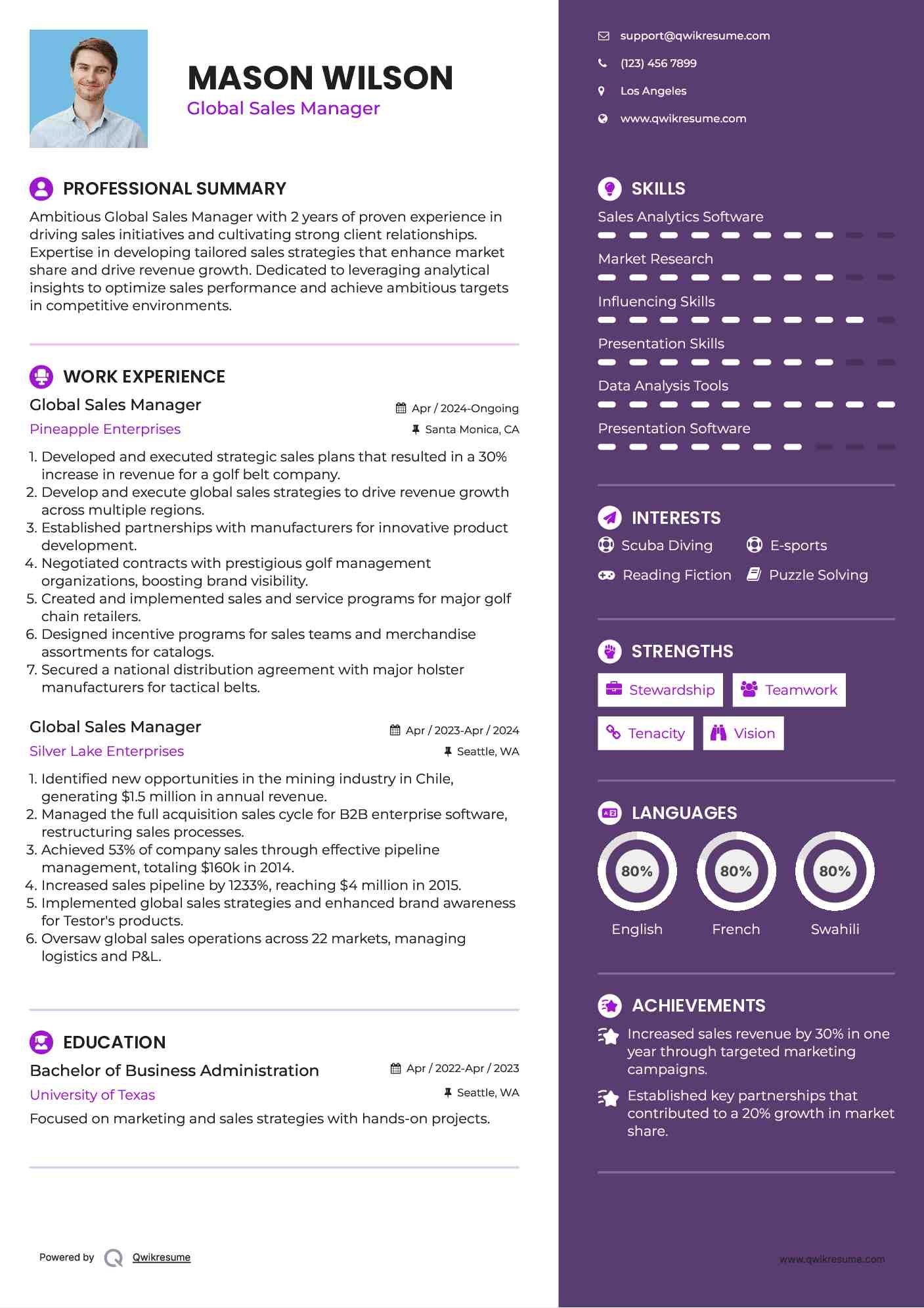 Global Sales Manager Resume Model