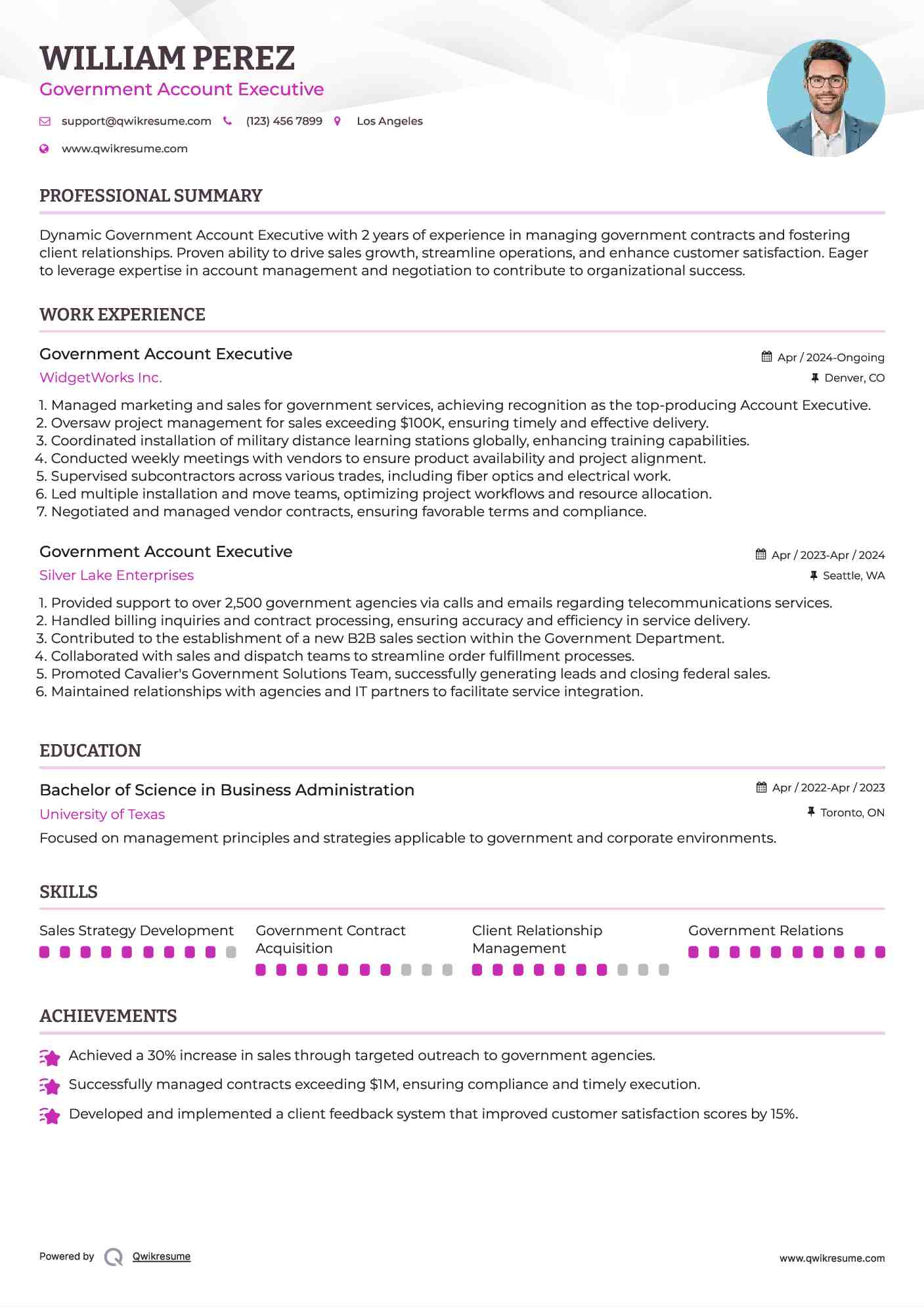 Government Account Executive Resume Sample