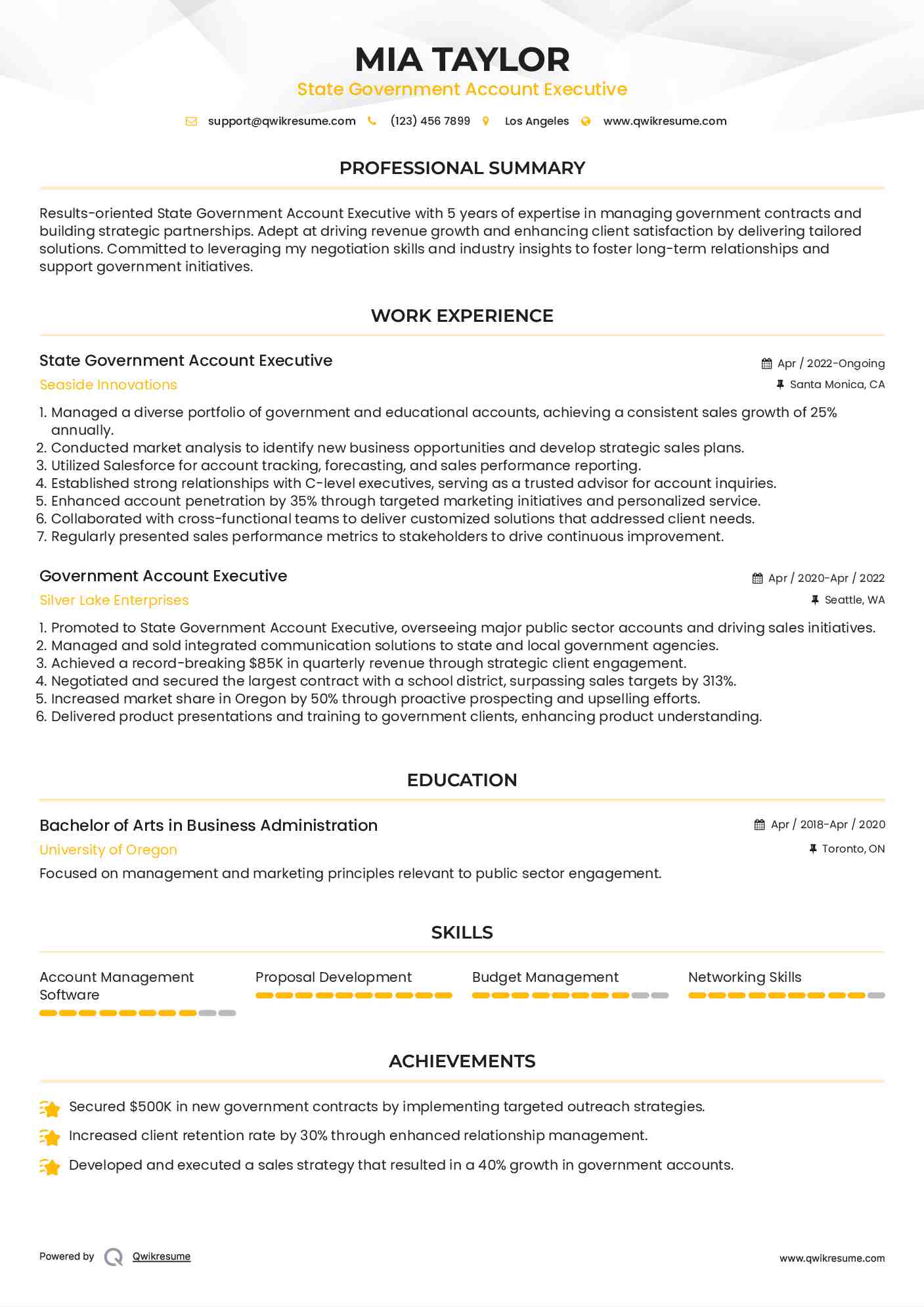 State Government Account Executive Resume Format