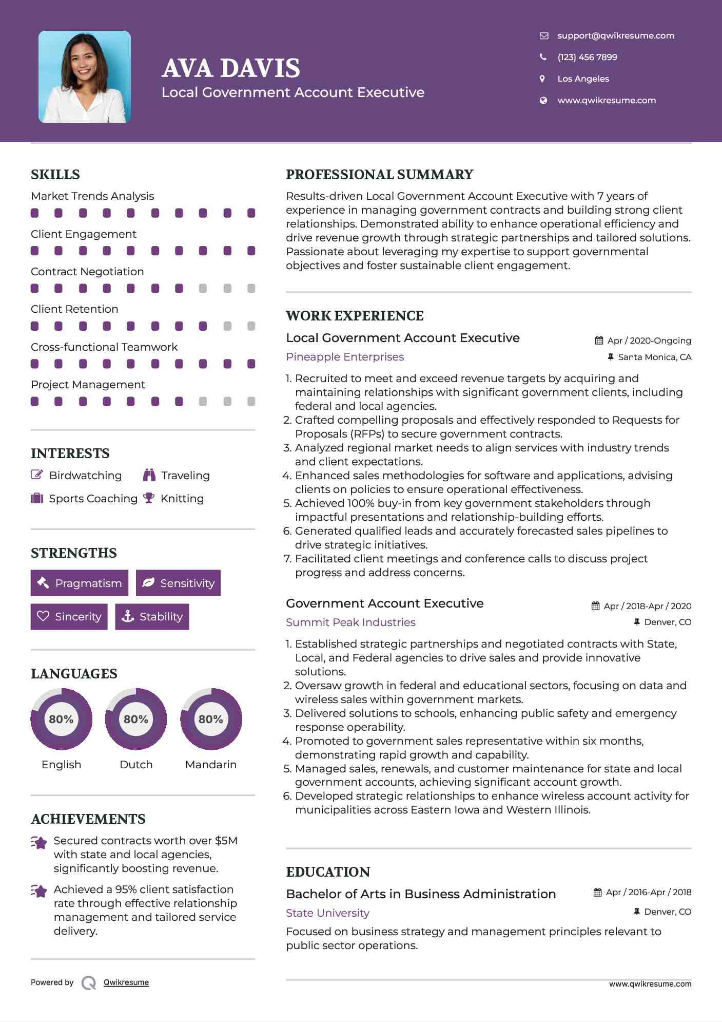 Local Government Account Executive Resume Example