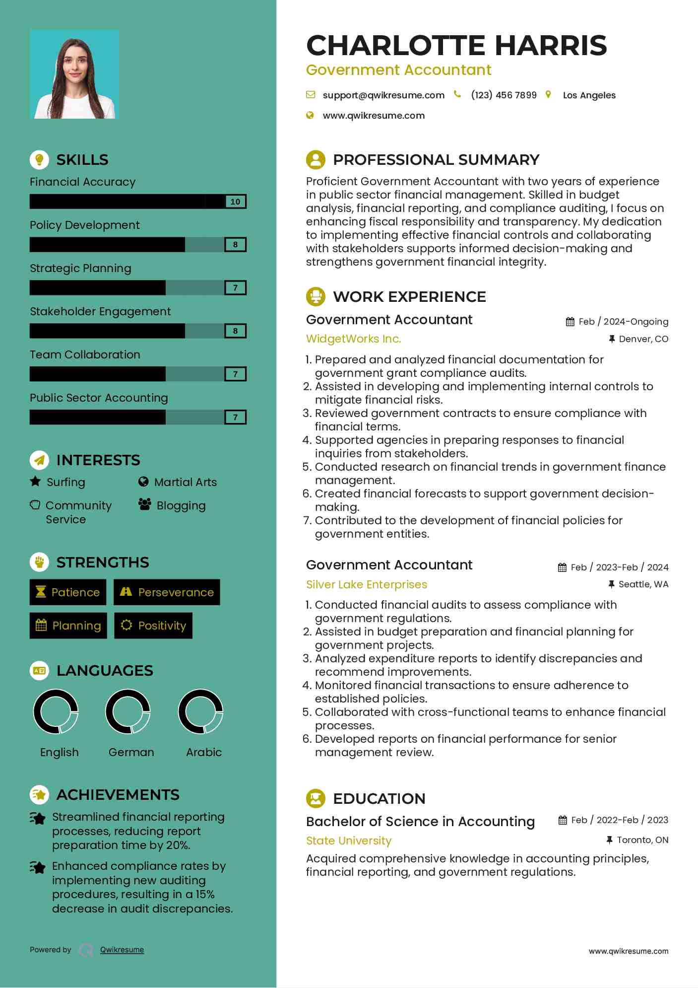Government Accountant Resume Example