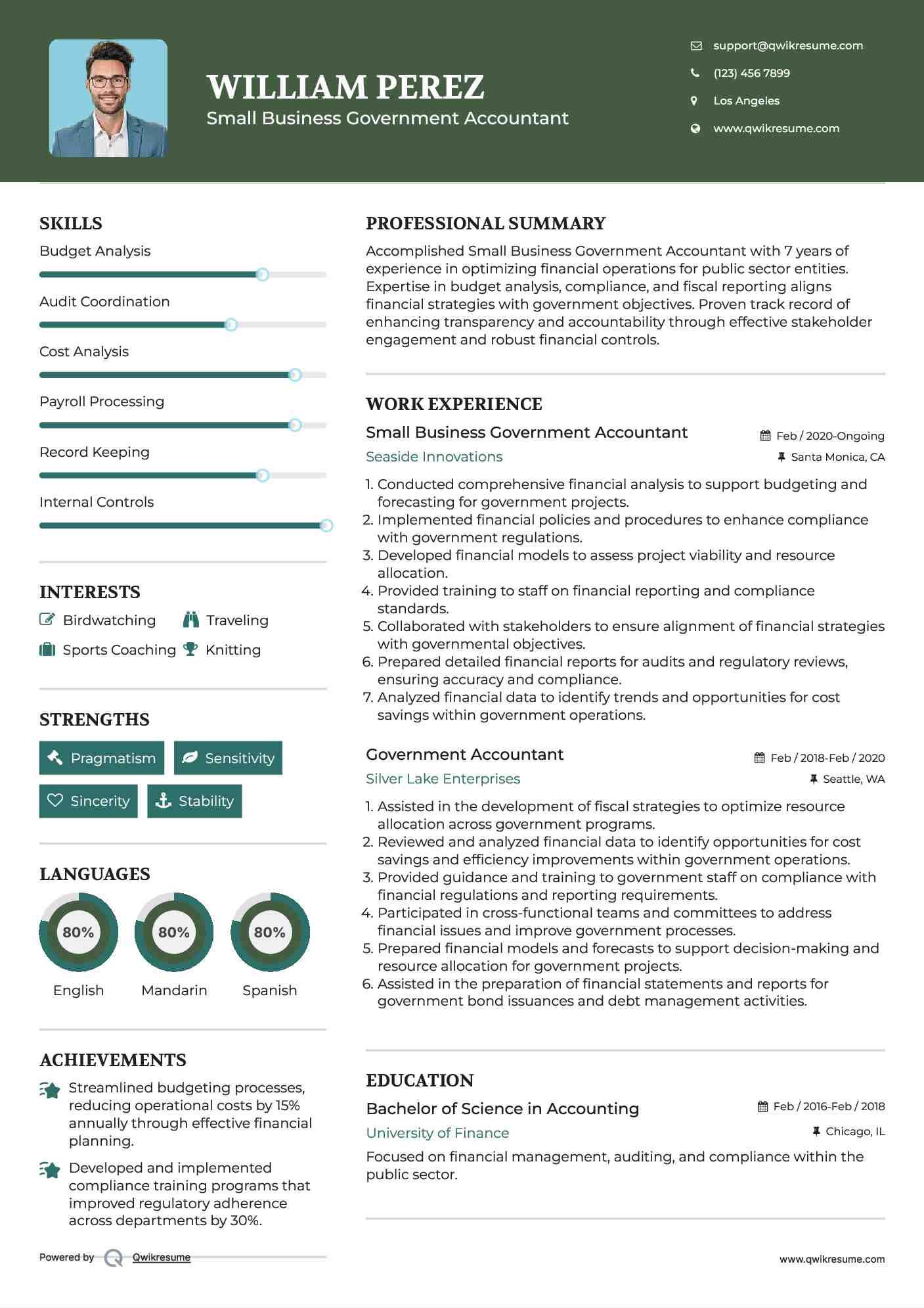 Small Business Government Accountant Resume Template