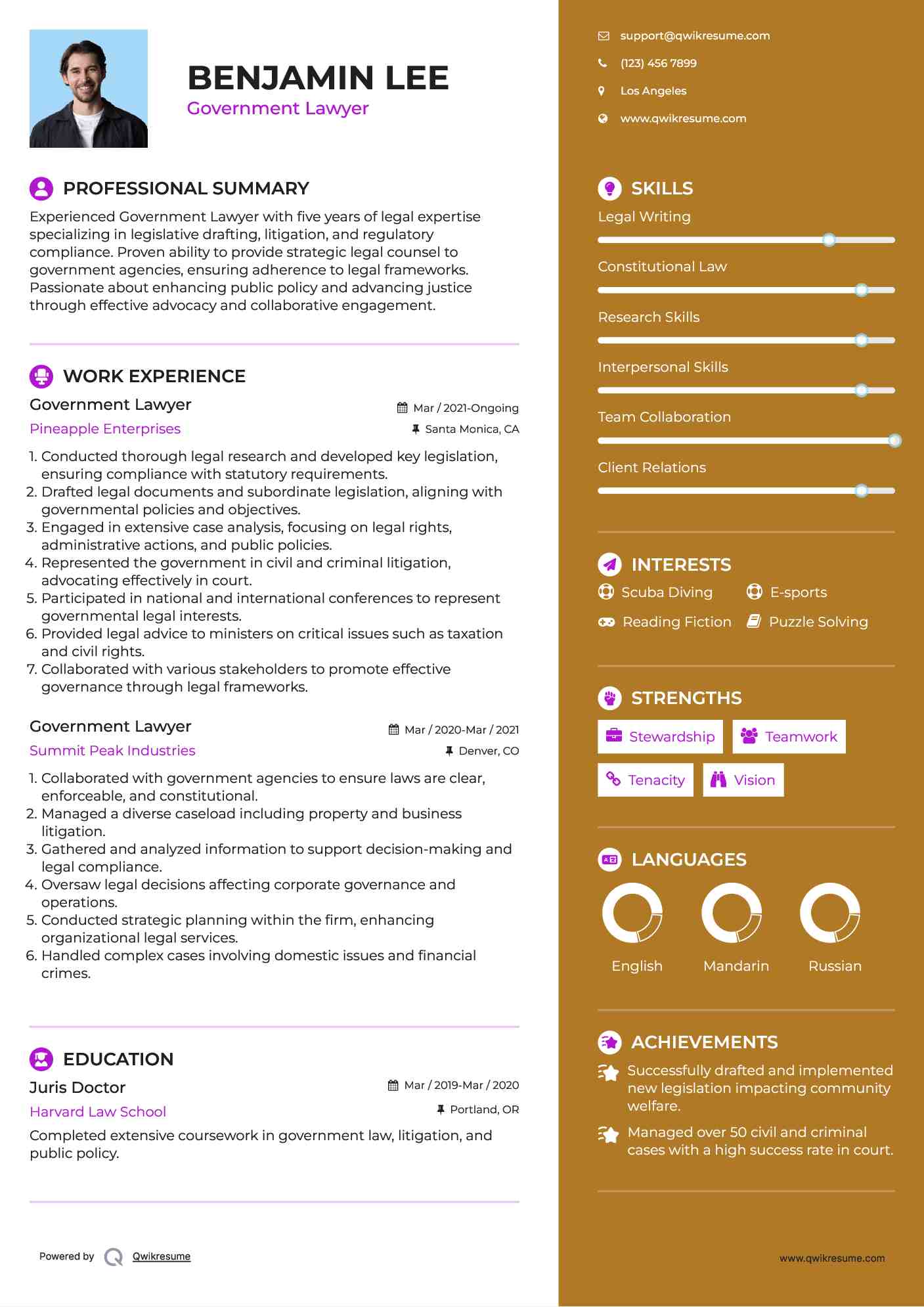 Government Lawyer Resume Sample