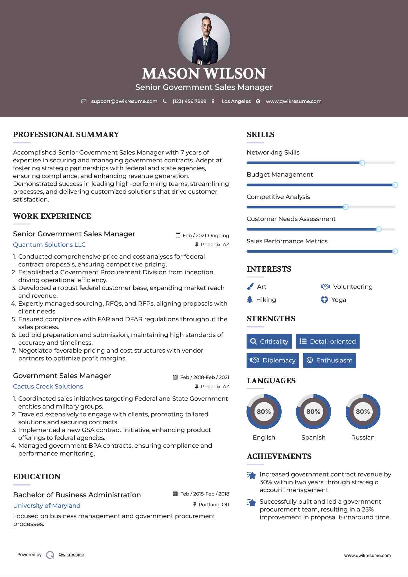 Senior Government Sales Manager Resume Template