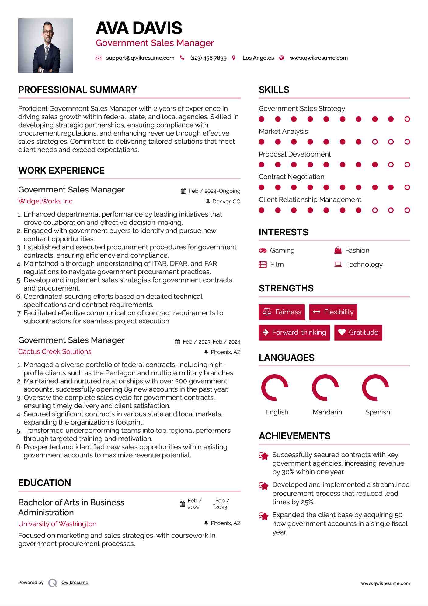 Government Sales Manager Resume Example