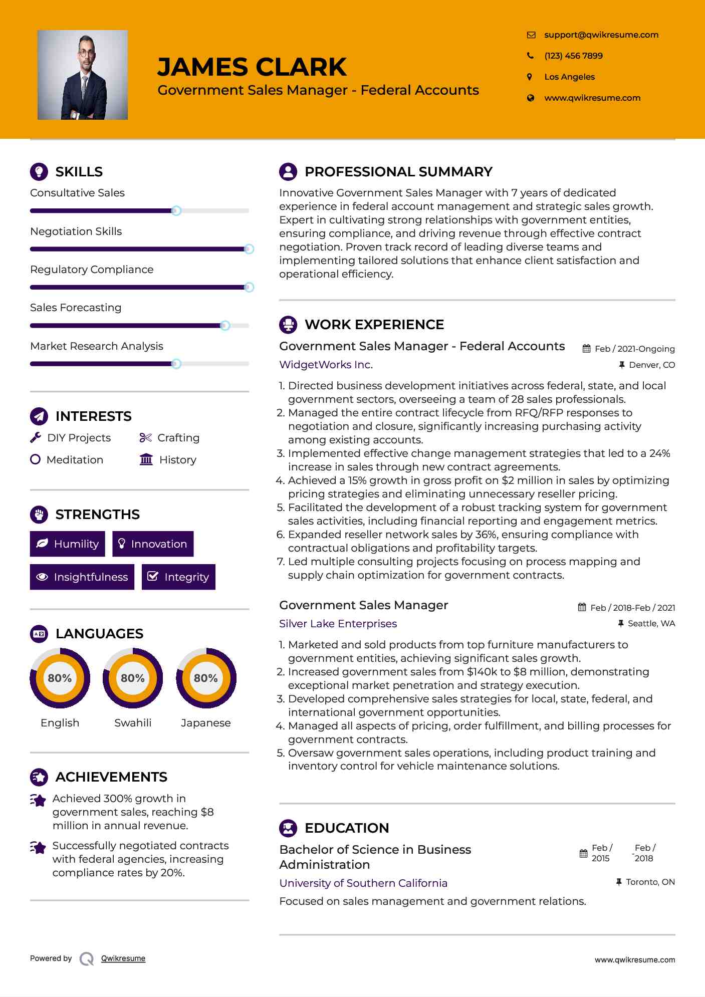 Government Sales Manager - Federal Accounts Resume Template
