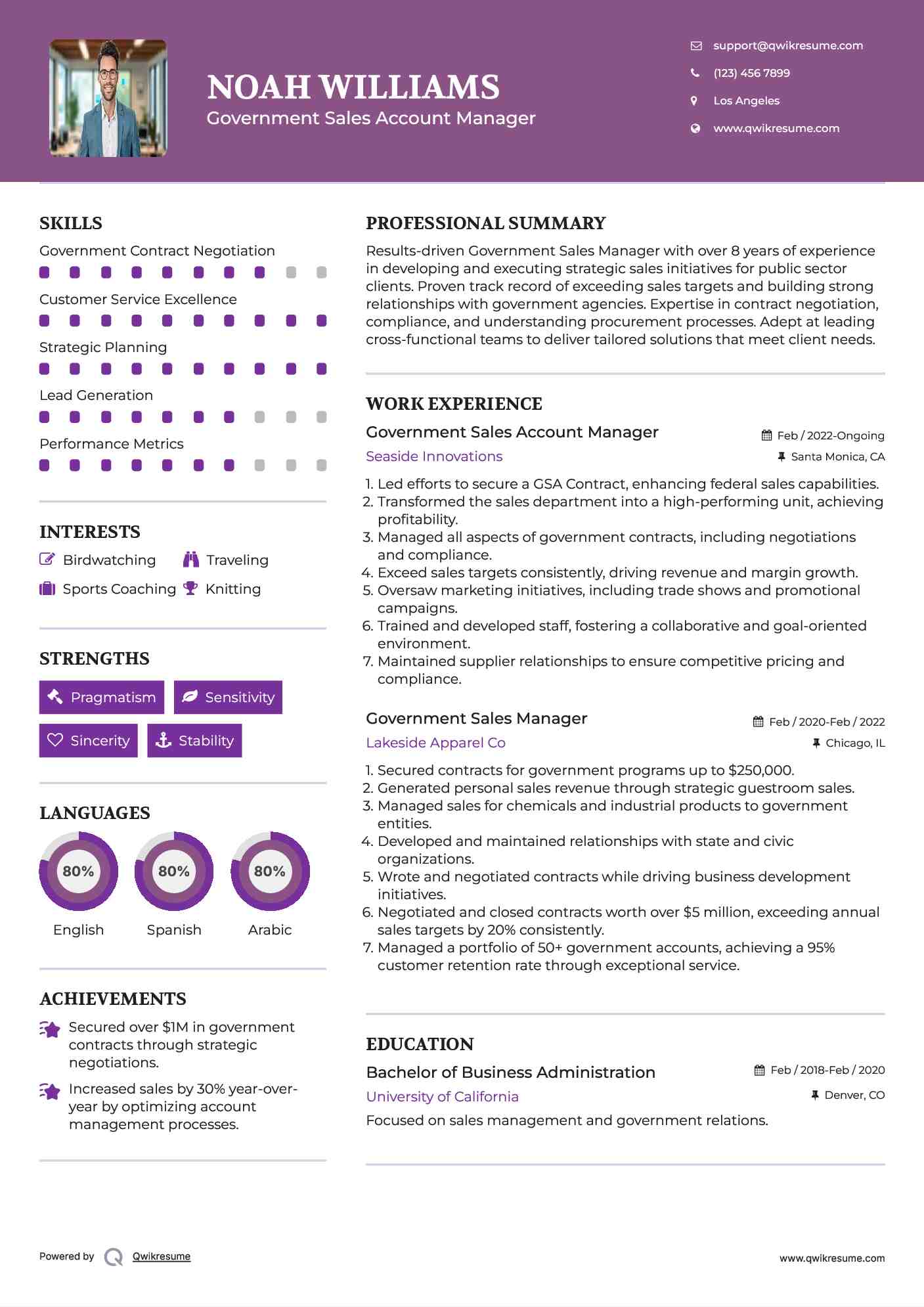 Government Sales Account Manager Resume Example