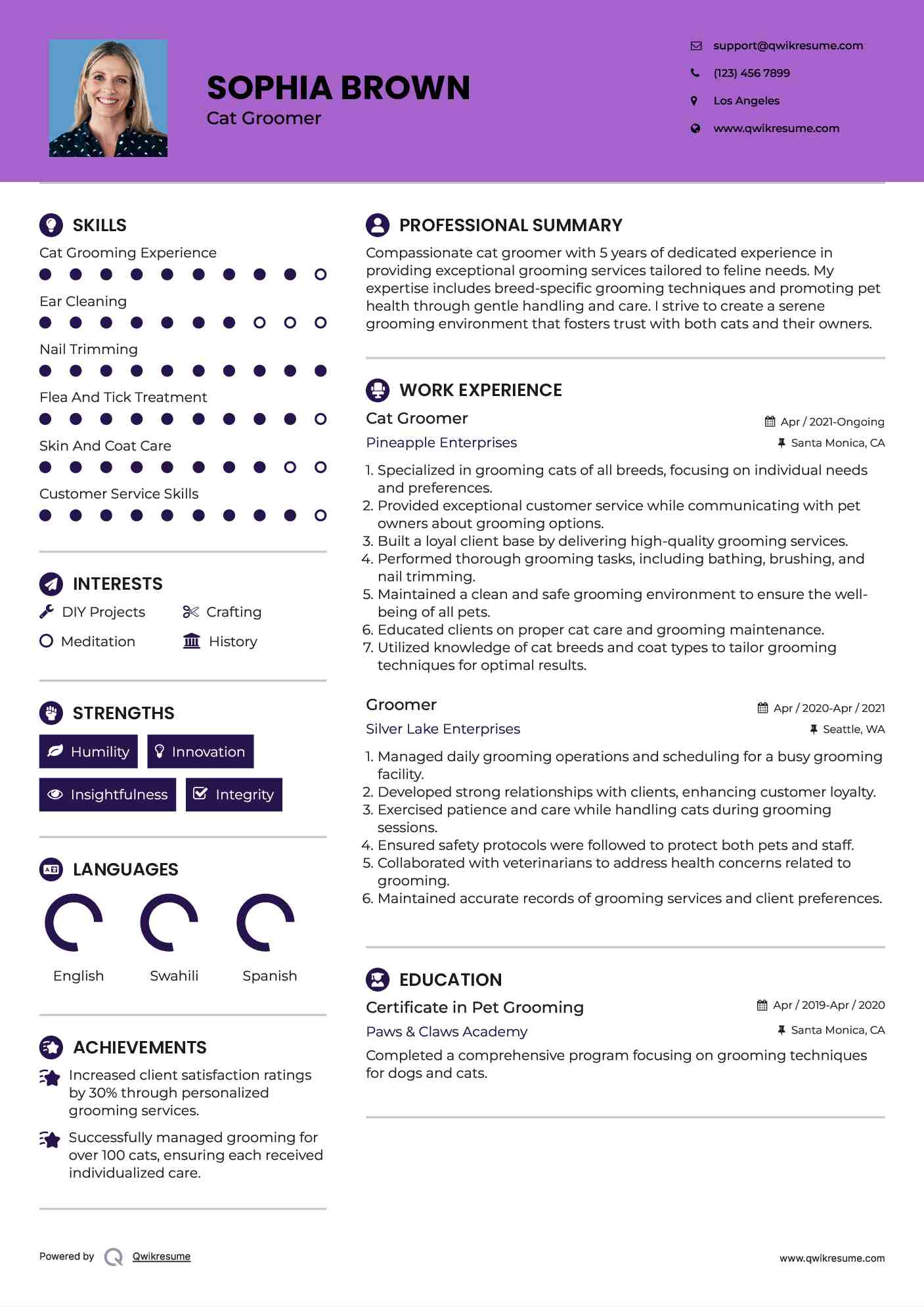 Cat Groomer Resume Template