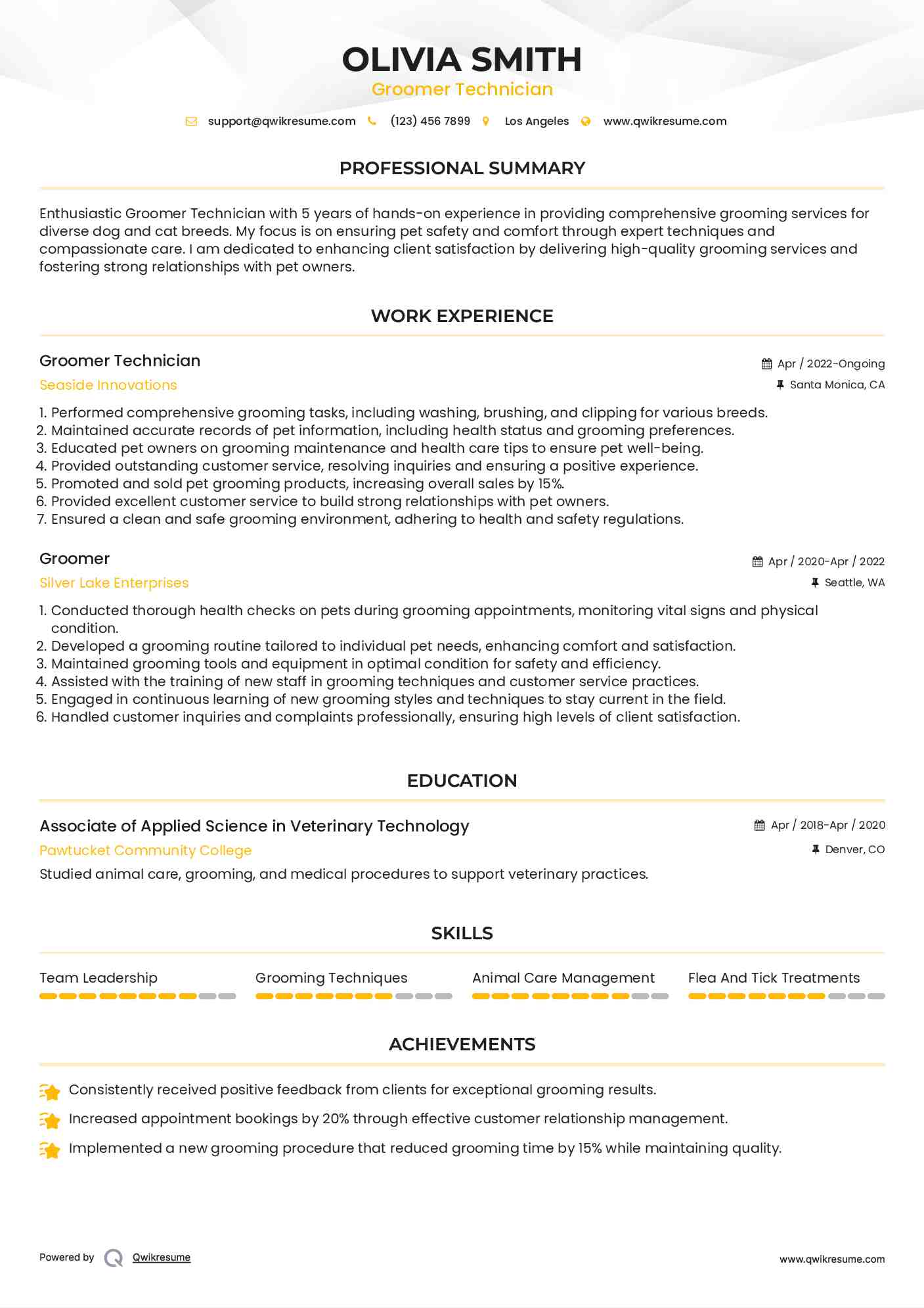Groomer Technician Resume Format