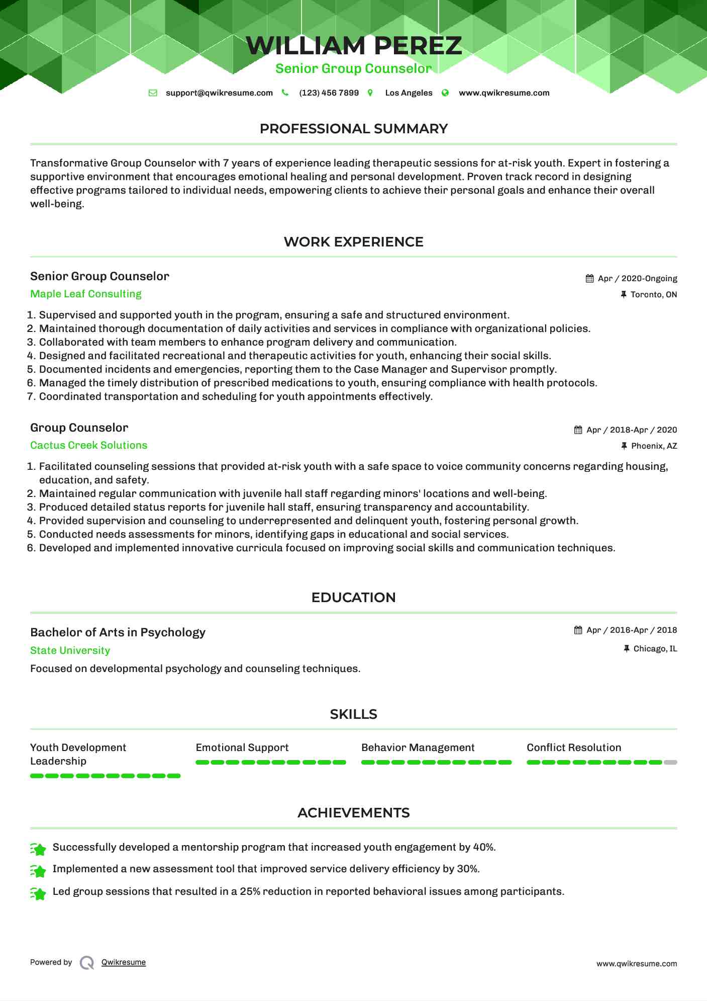Senior Group Counselor Resume Template