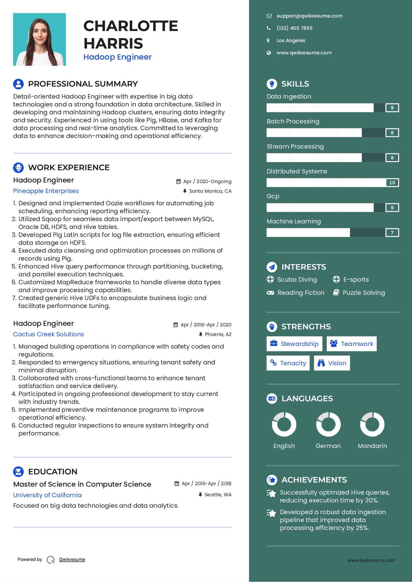 Hadoop Engineer Resume Template