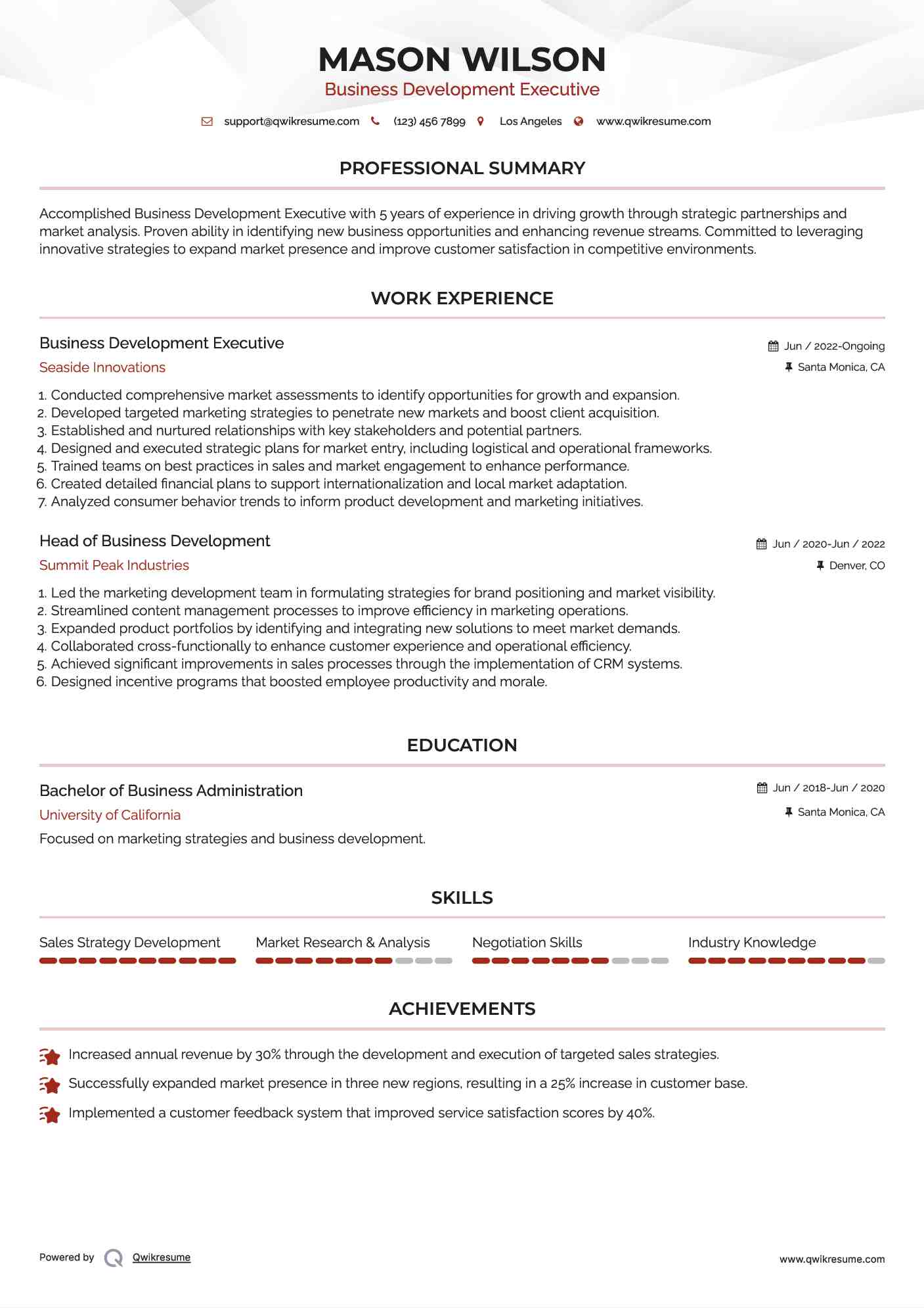 Business Development Executive Resume Template
