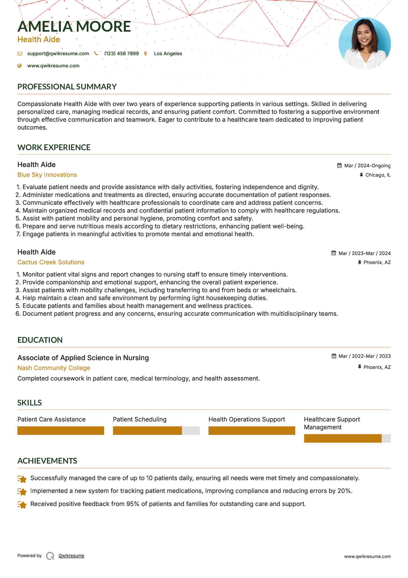 Health Aide Resume Model