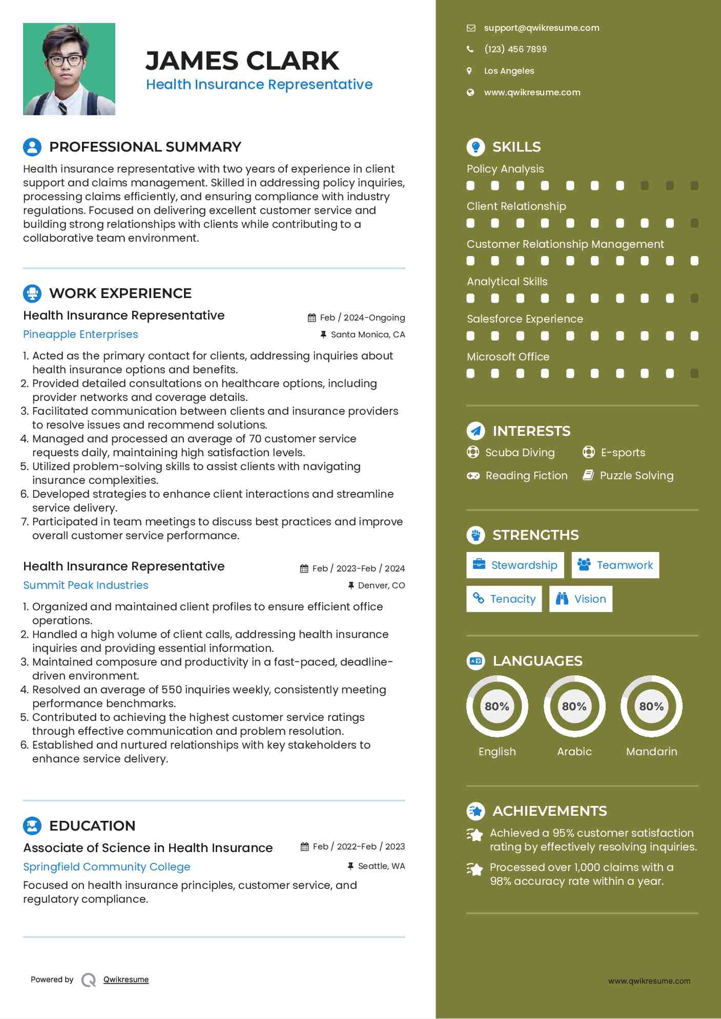 Health Insurance Representative Resume Example