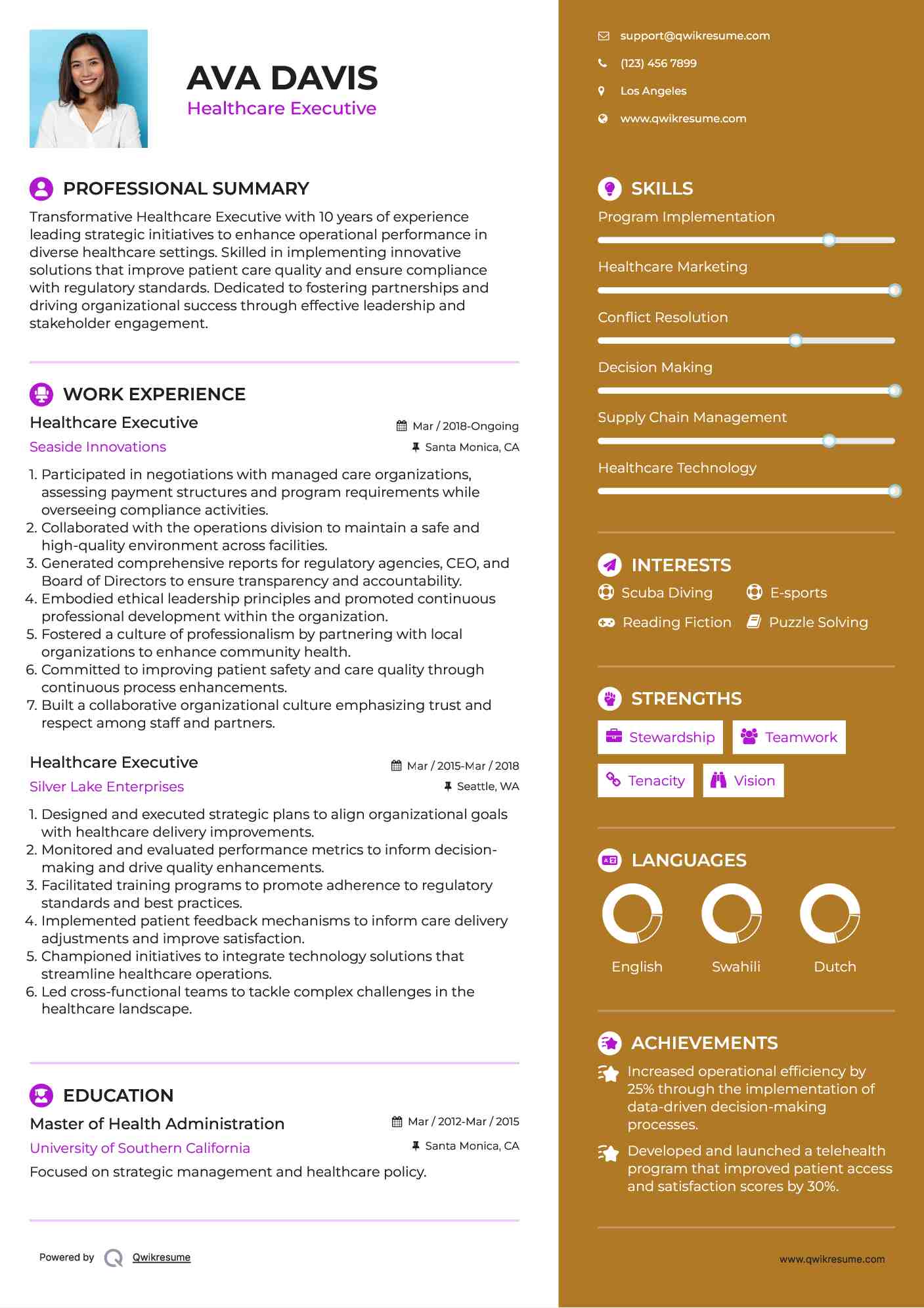 Healthcare Executive Resume Example