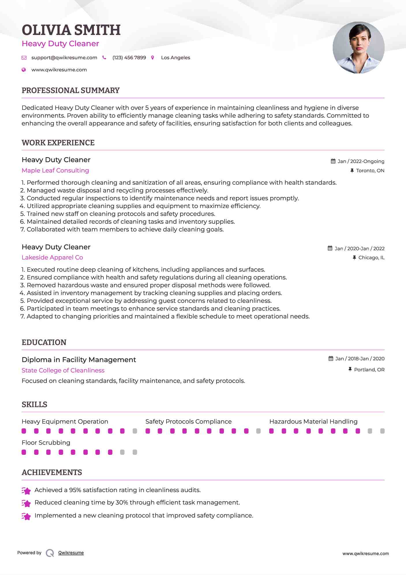 Heavy Duty Cleaner Resume Model