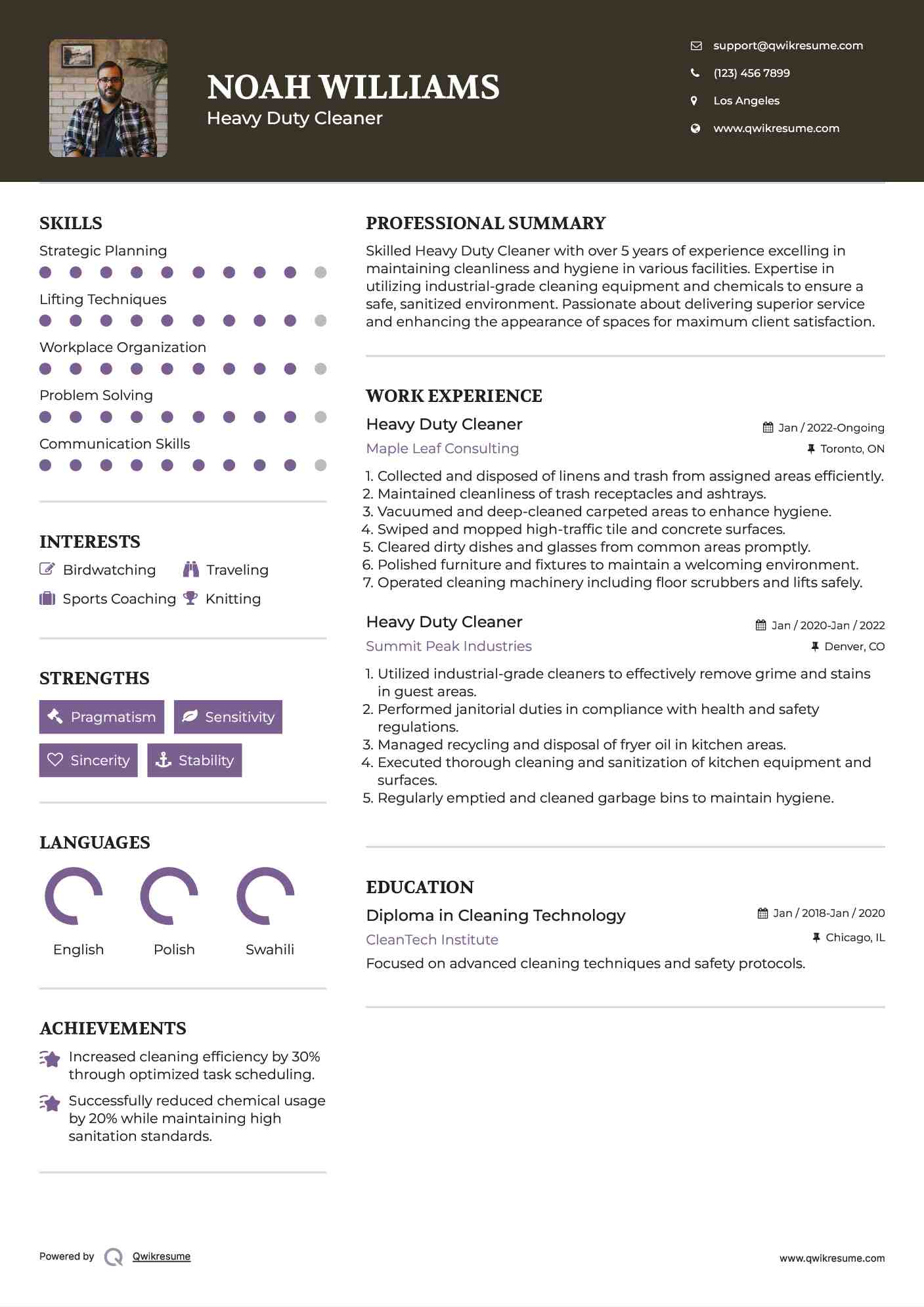 Heavy Duty Cleaner Resume Sample